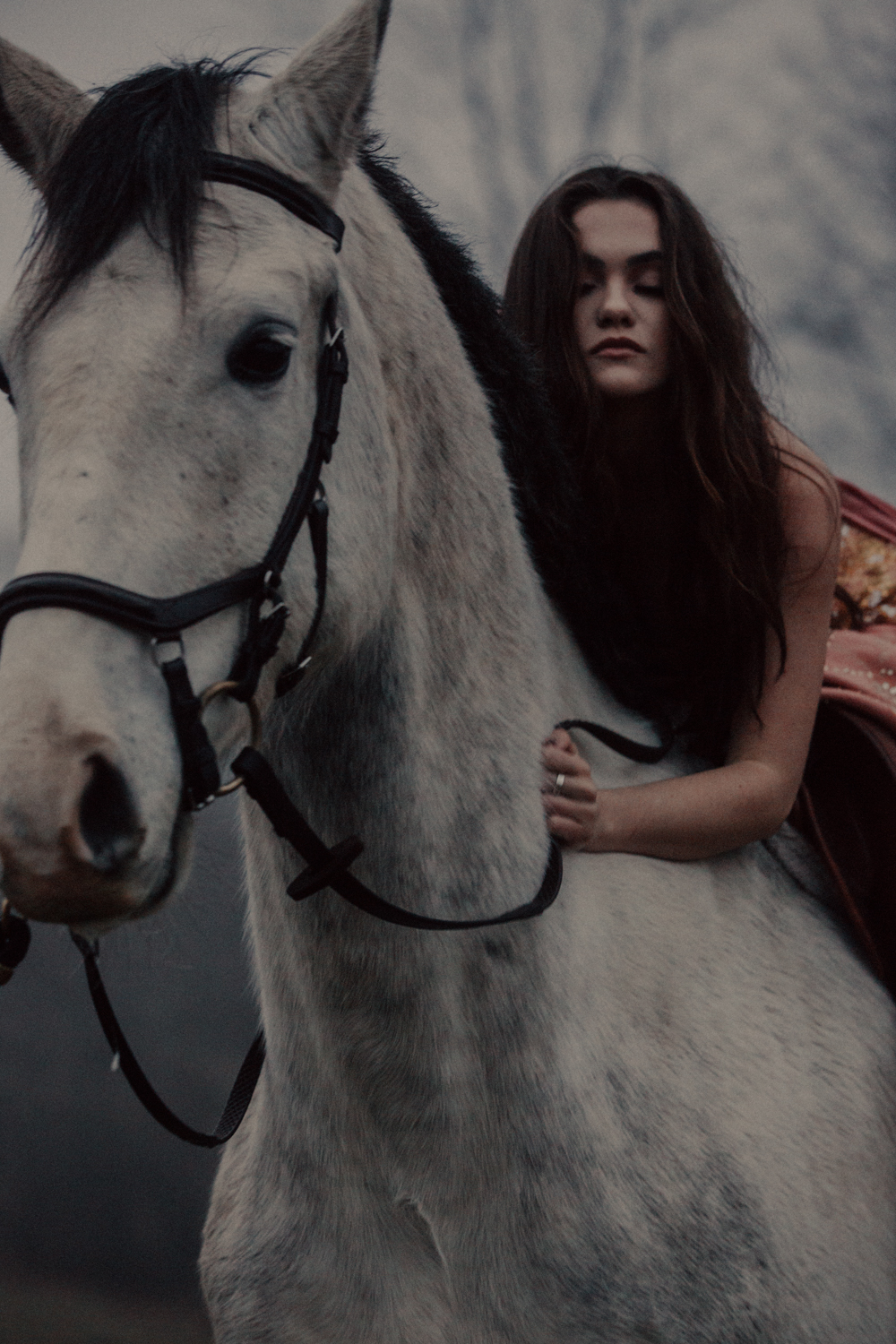 Wild Horses - Ashley Oh Ashley