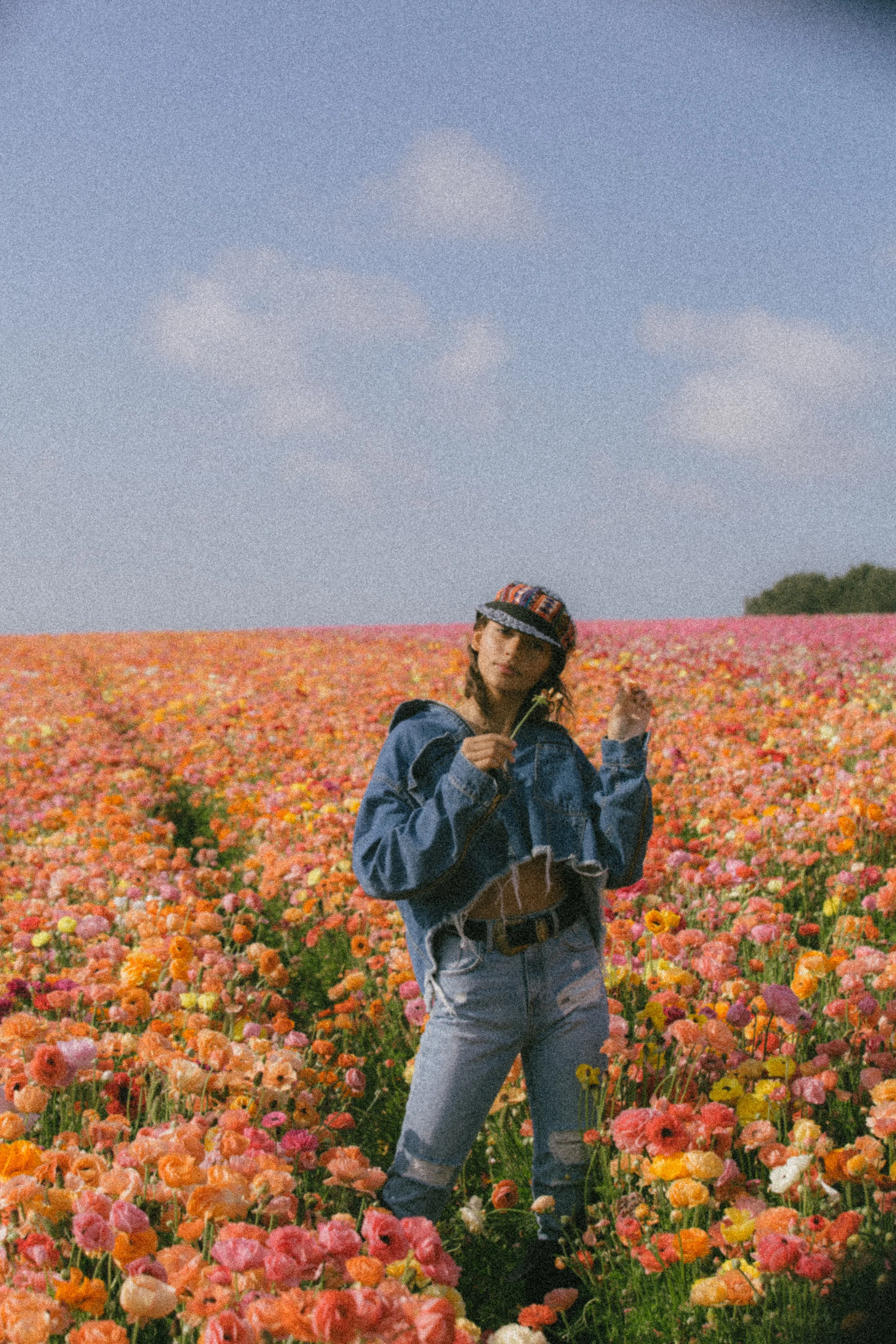 FLOWER_FIELDS-34.jpg
