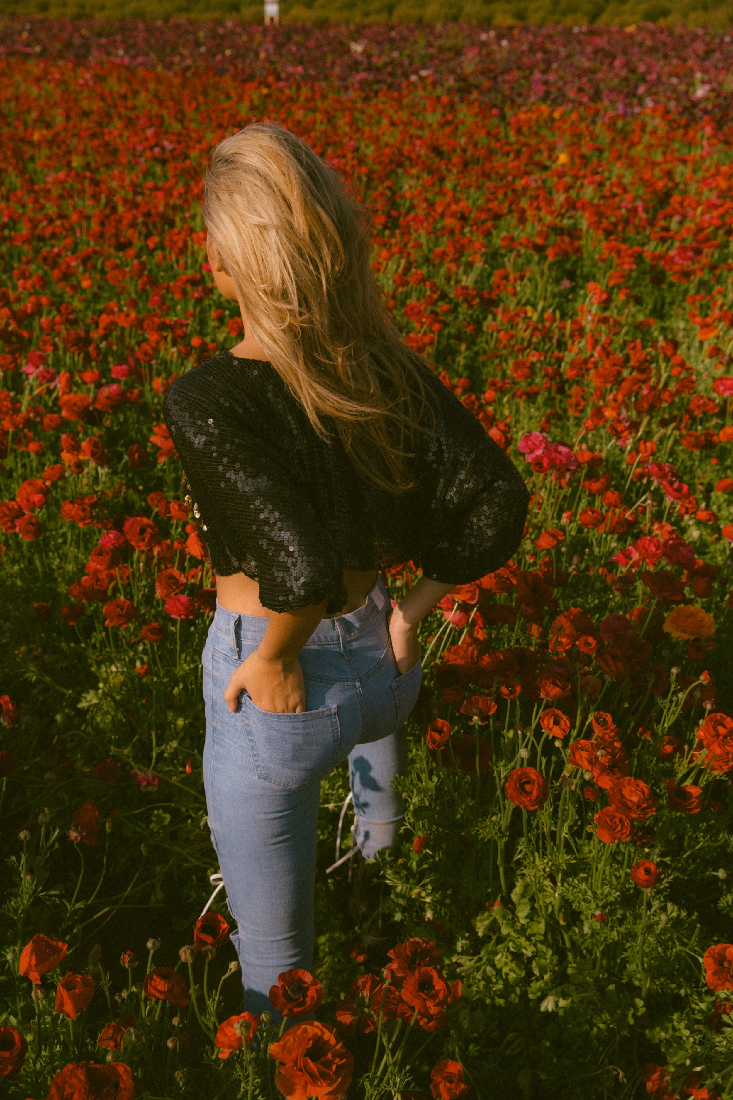 FLOWER_FIELDS-64.jpg