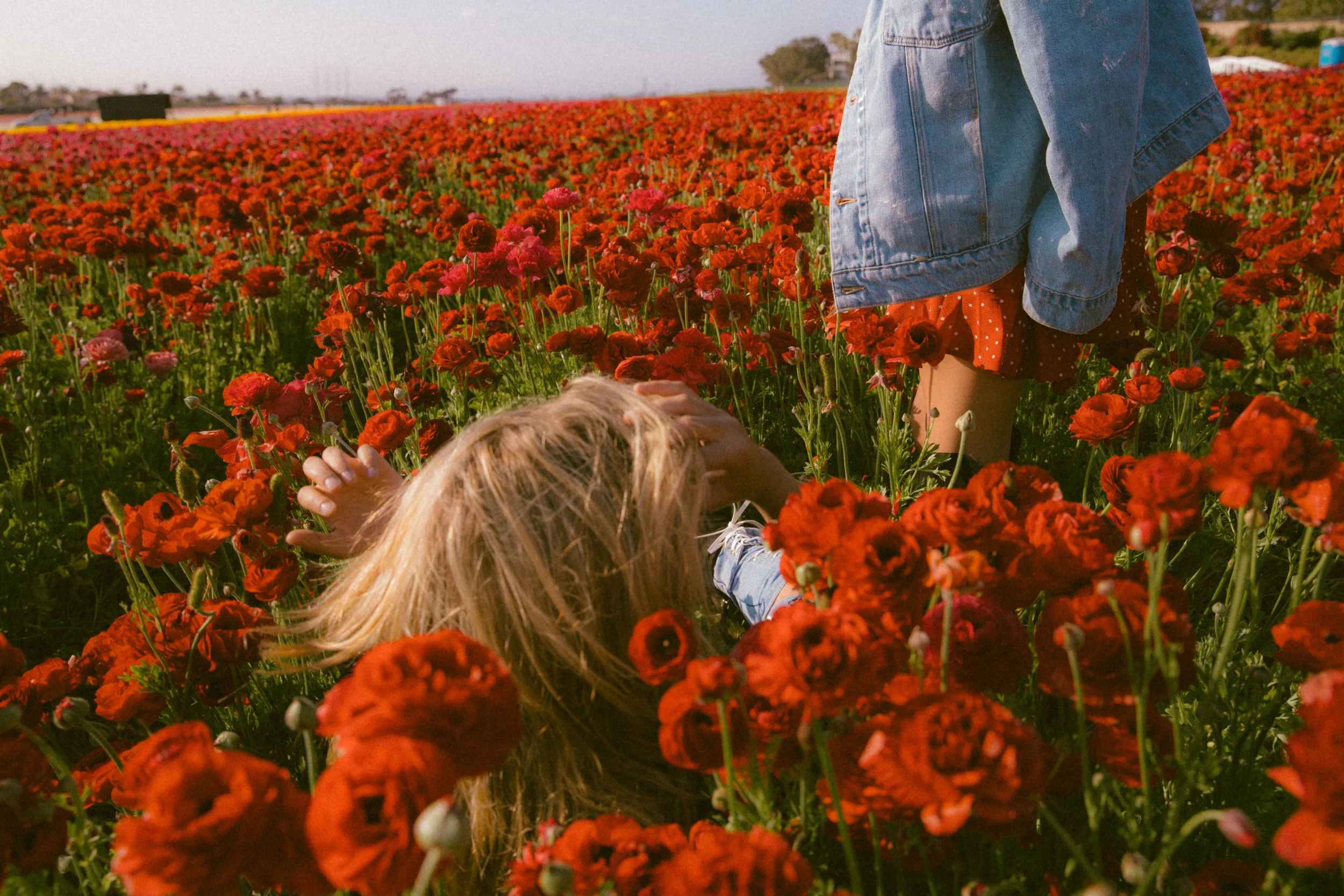 FLOWER_FIELDS-66.jpg