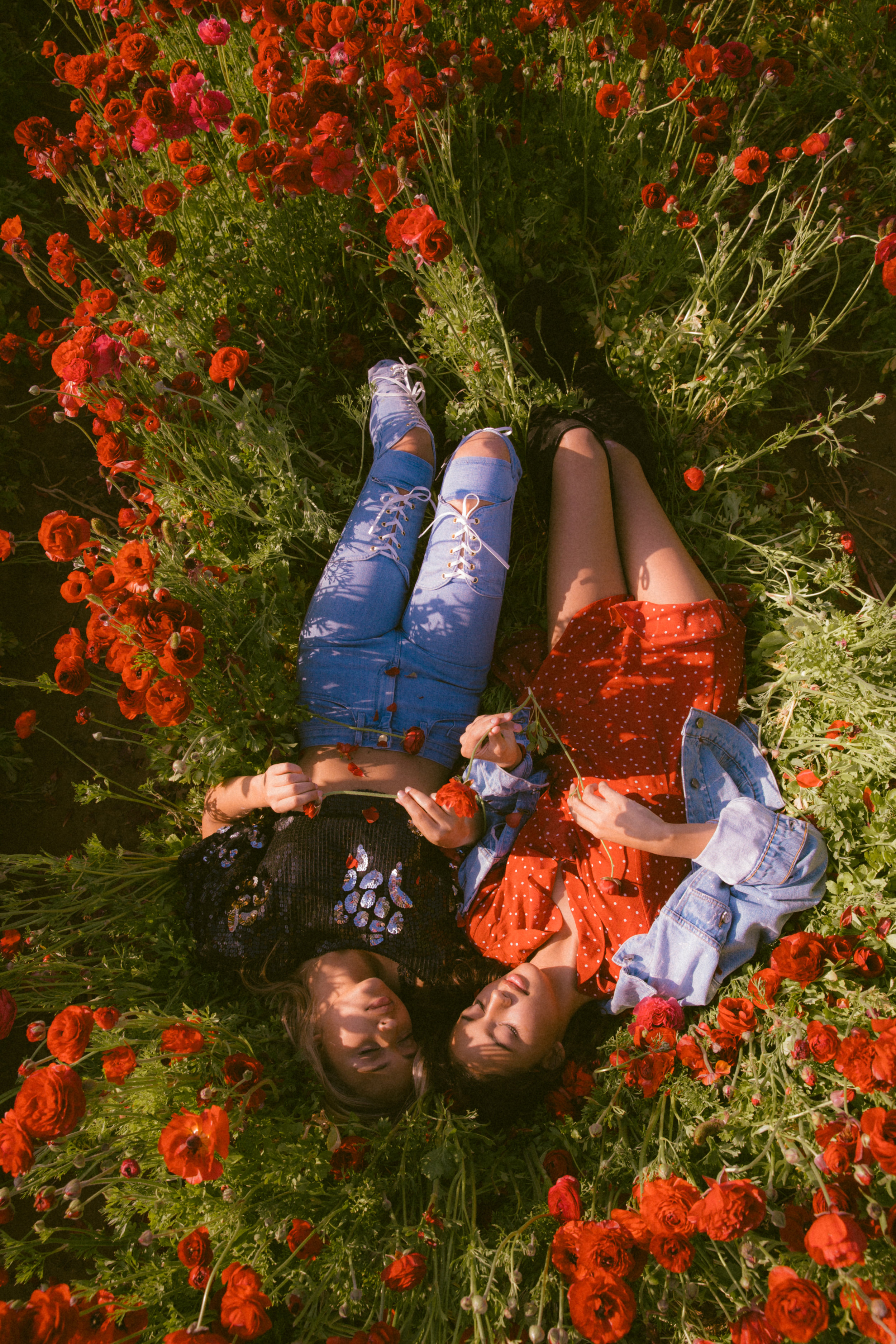 FLOWER_FIELDS-68.jpg
