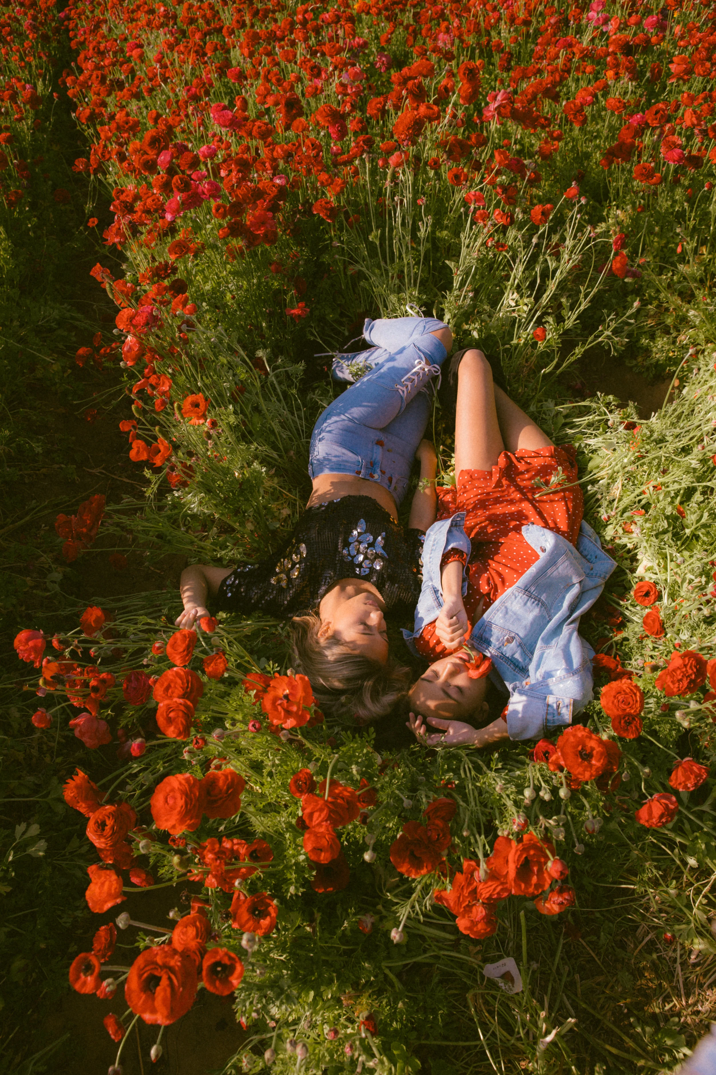 FLOWER_FIELDS-77.jpg