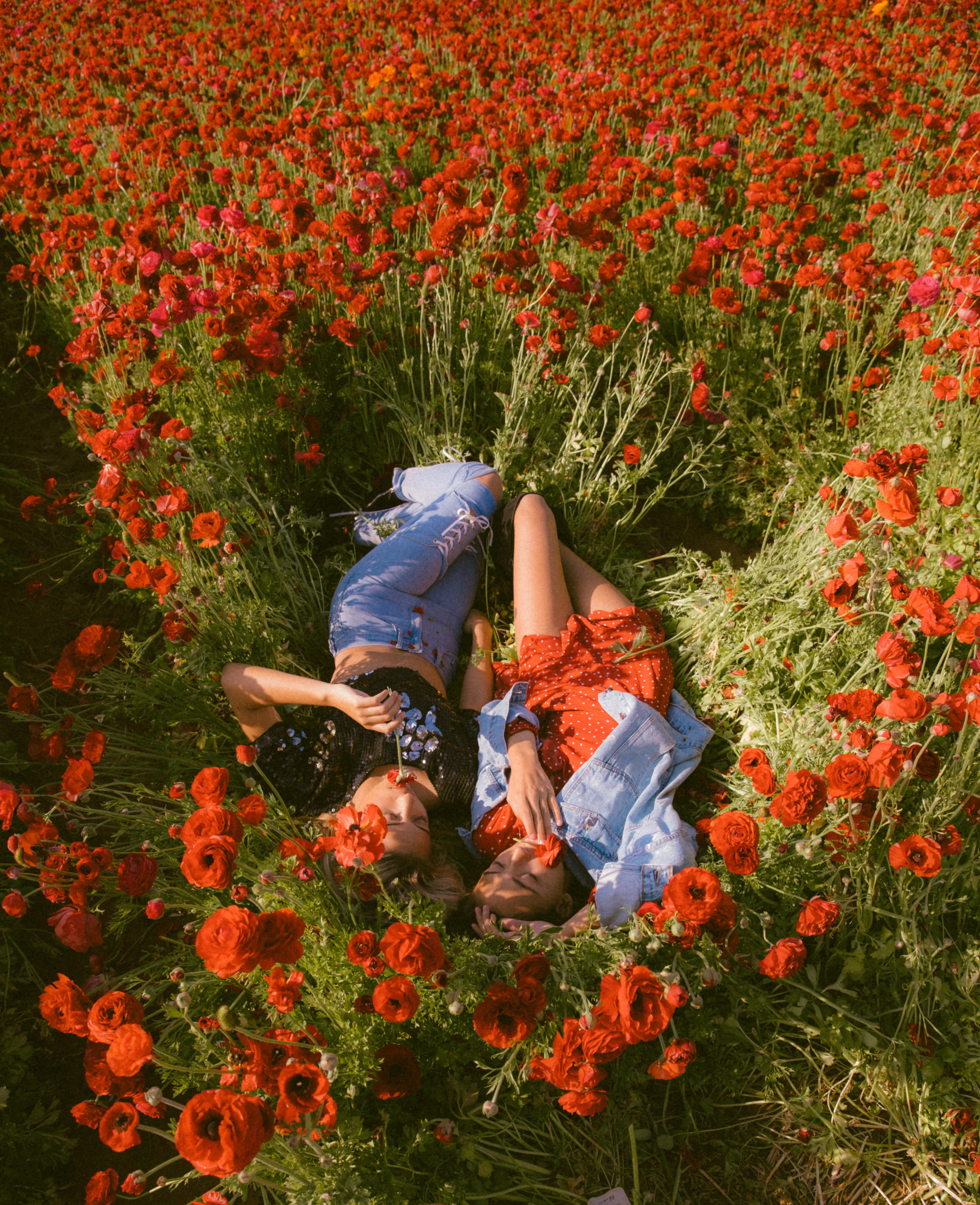 FLOWER_FIELDS-78.jpg