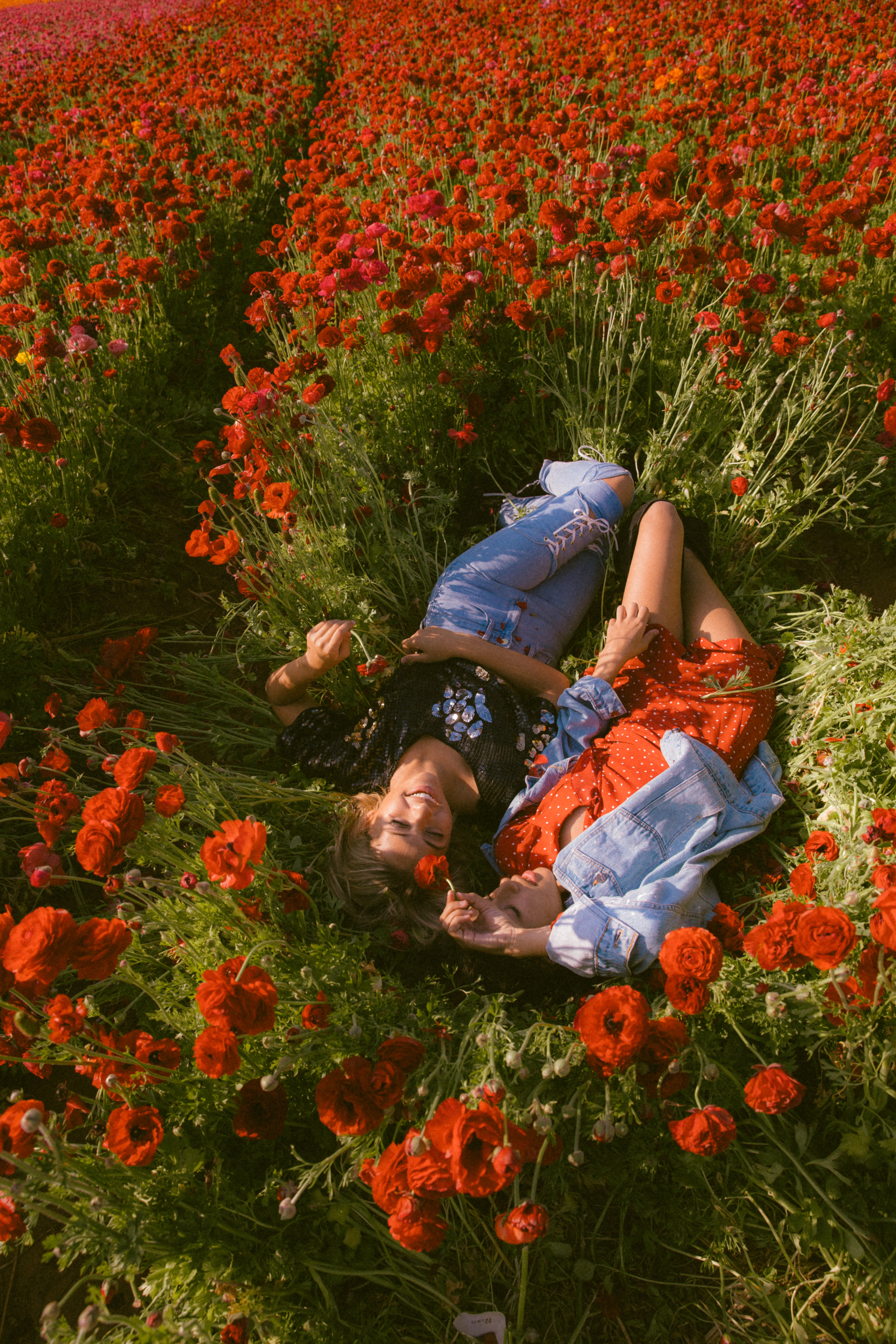 FLOWER_FIELDS-79.jpg
