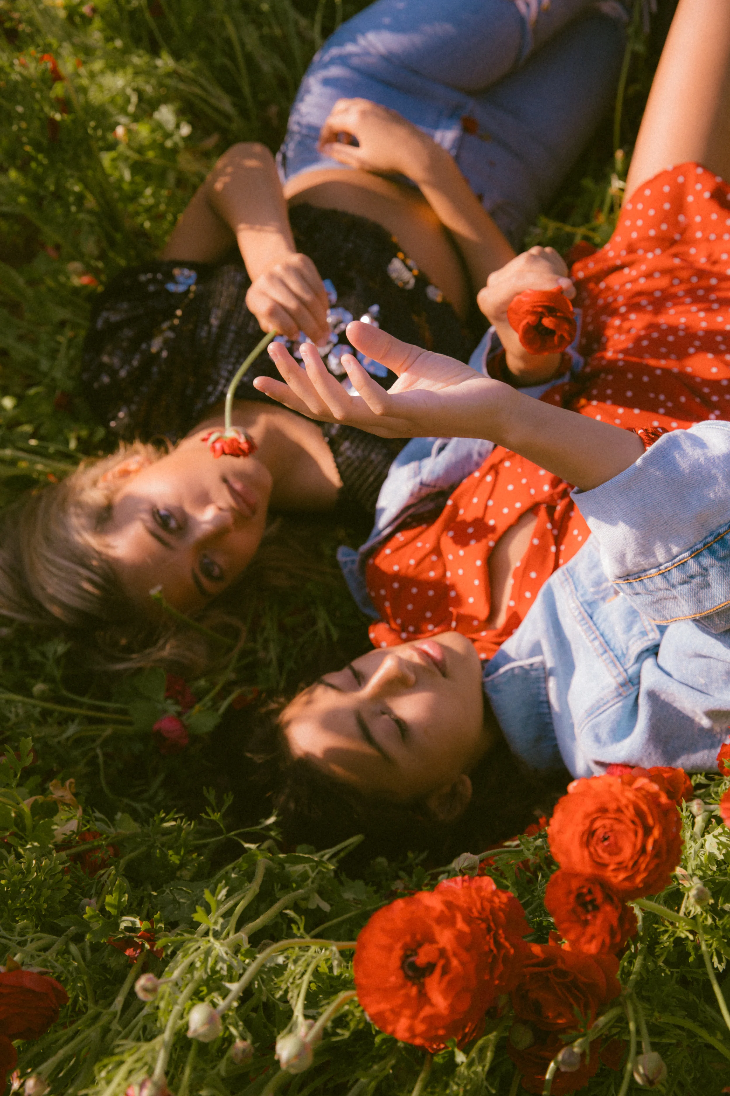 FLOWER_FIELDS-82.jpg