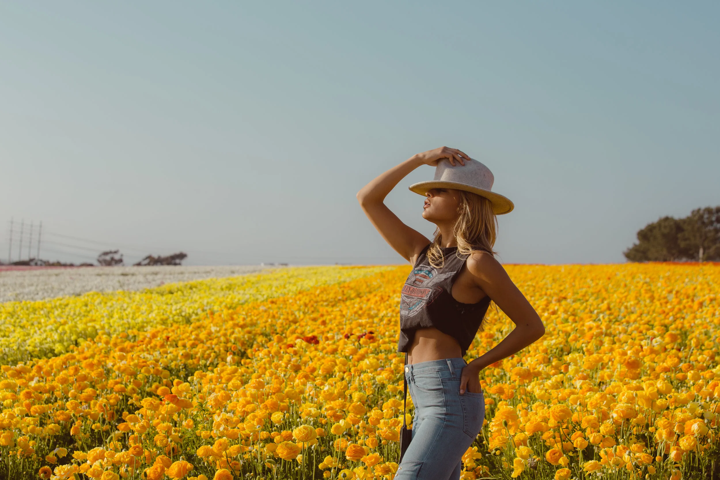FLOWER_FIELDS-124.jpg