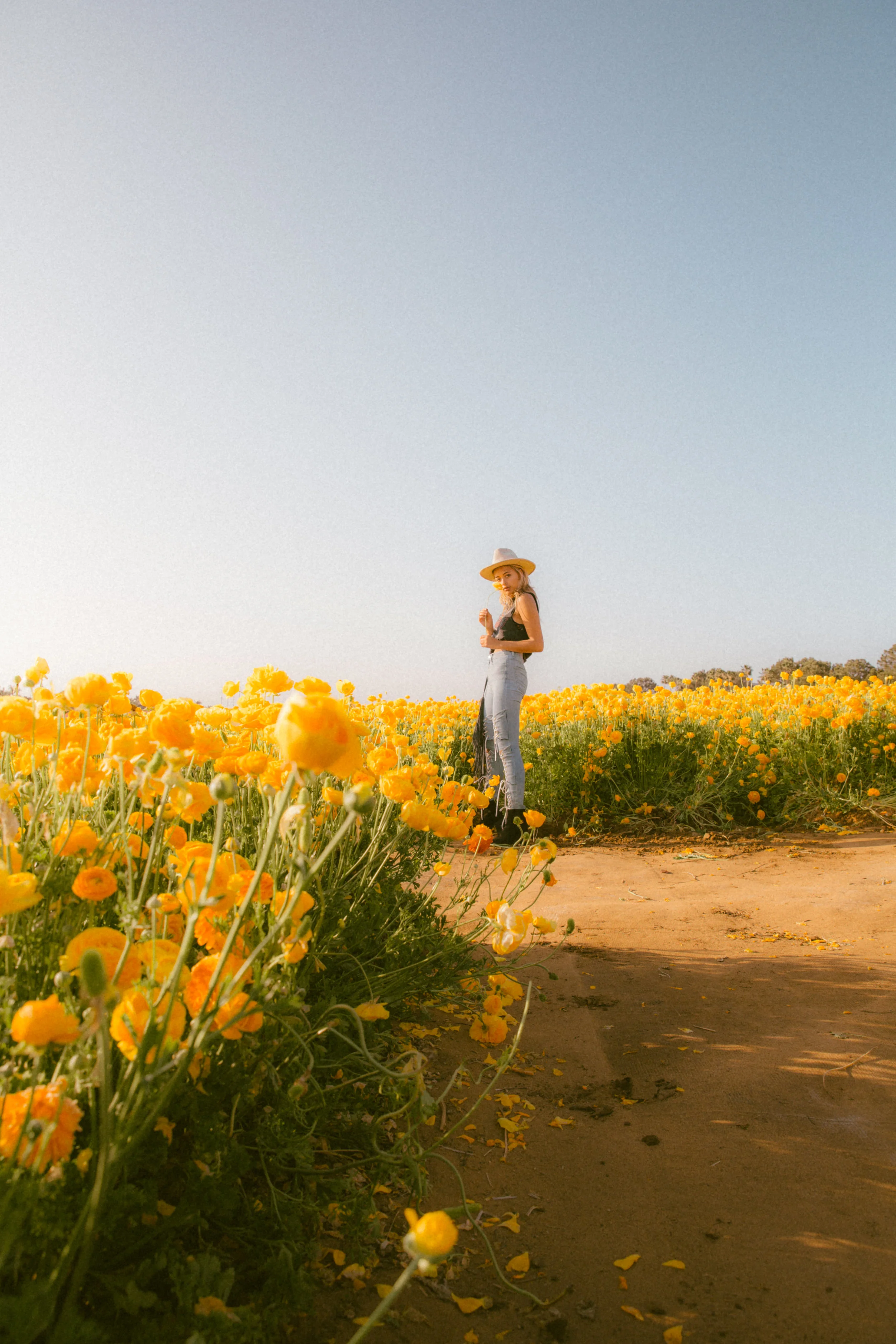 FLOWER_FIELDS-134.jpg