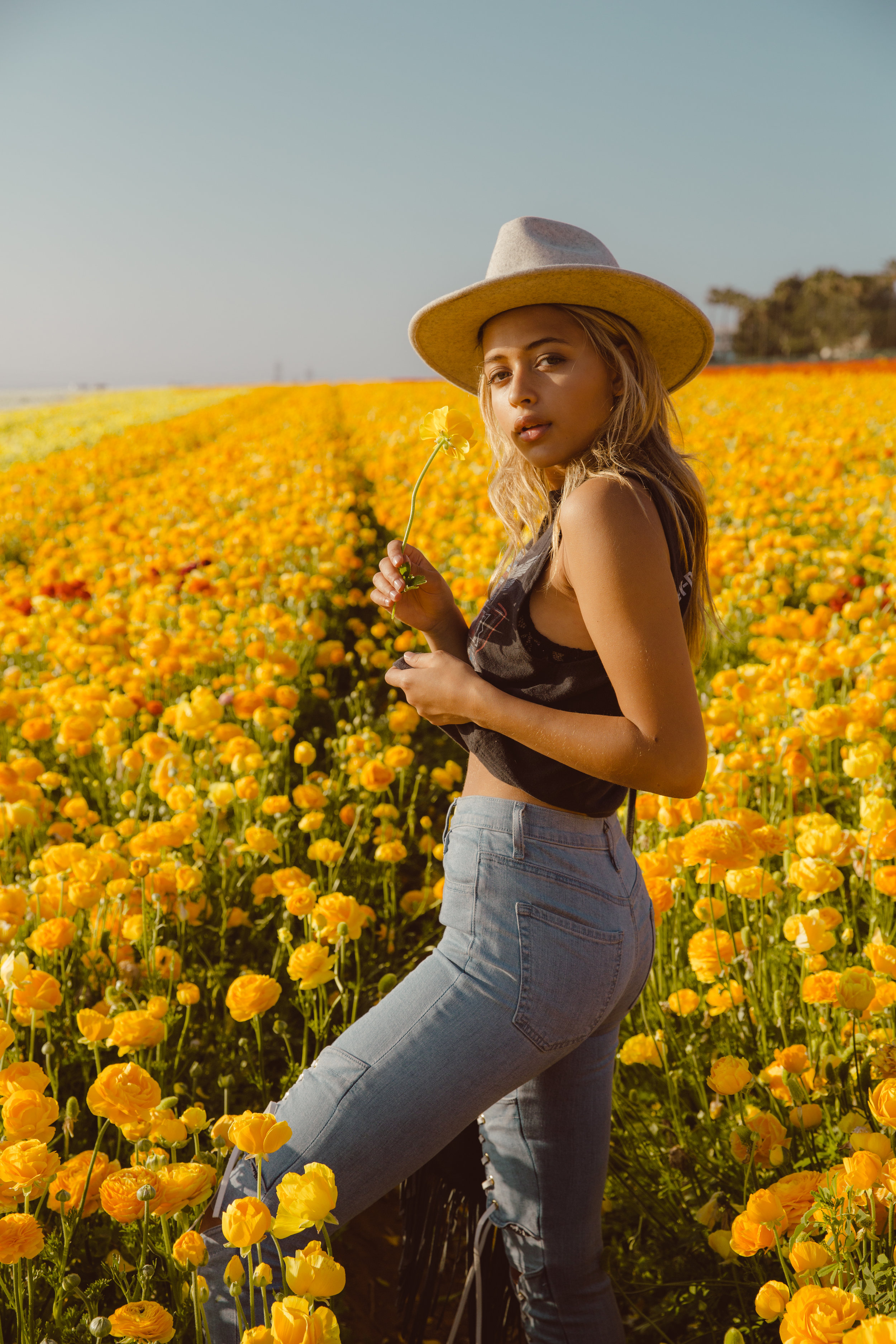 FLOWER_FIELDS-136.jpg