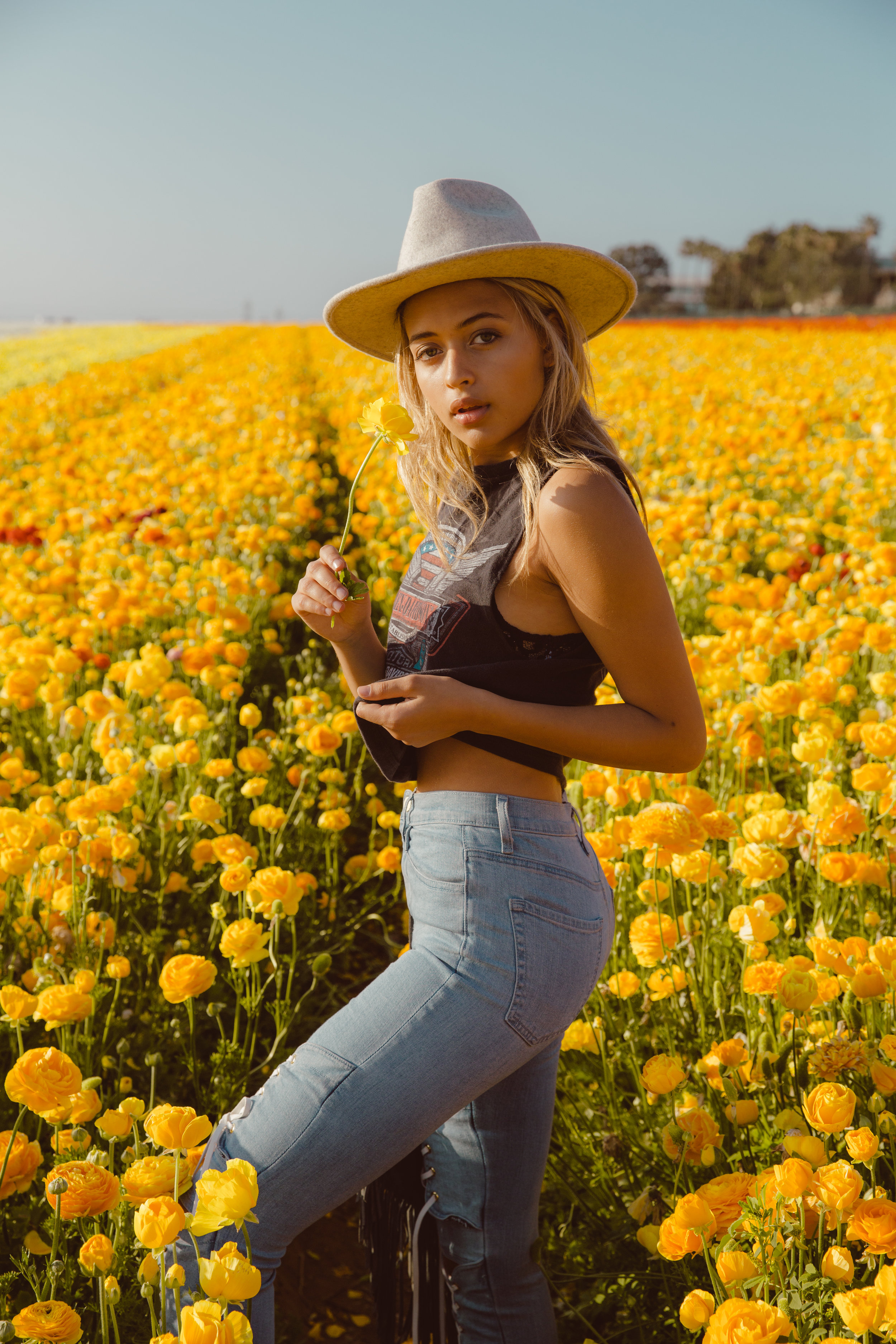 FLOWER_FIELDS-137.jpg