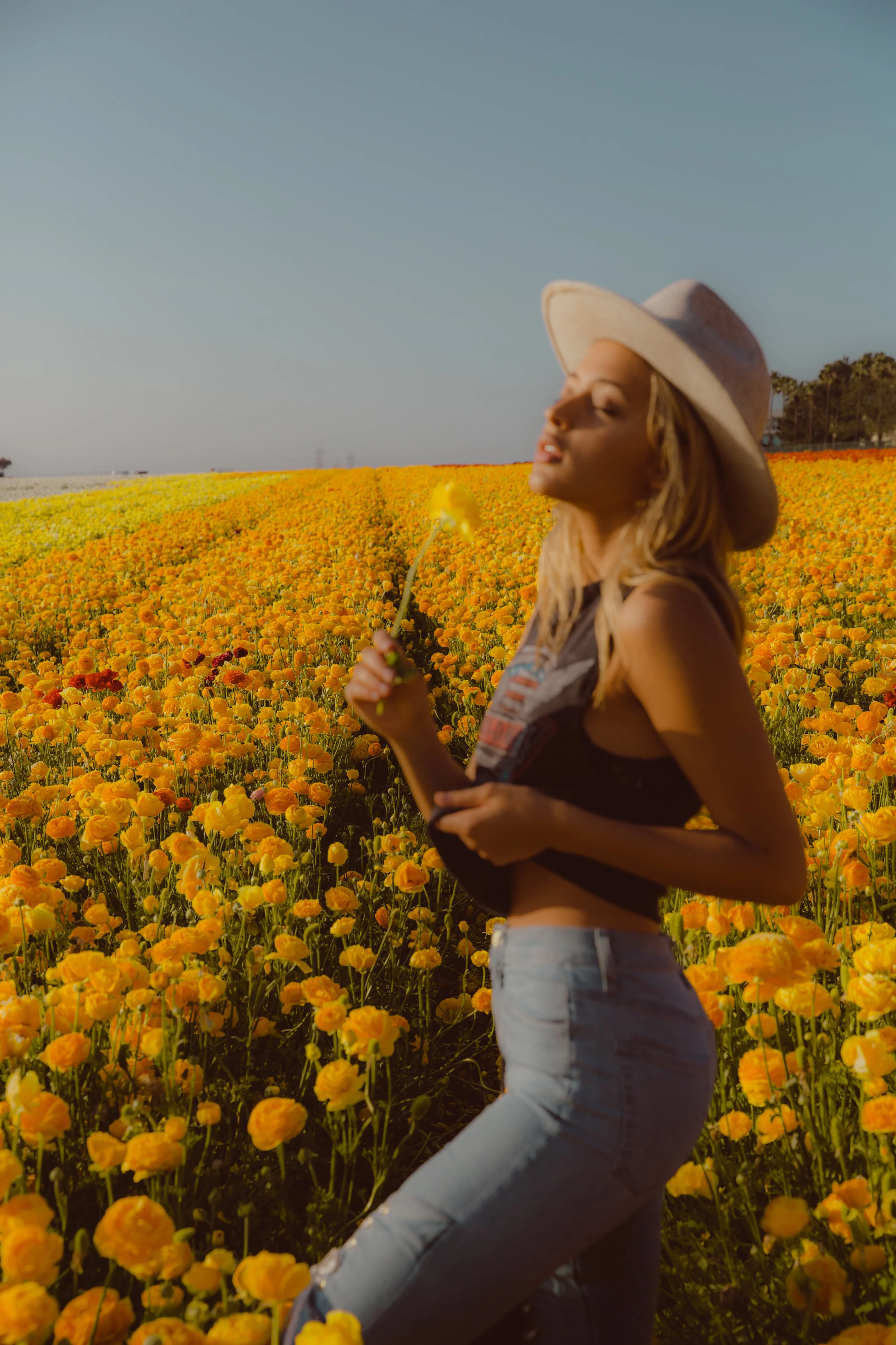 FLOWER_FIELDS-139.jpg