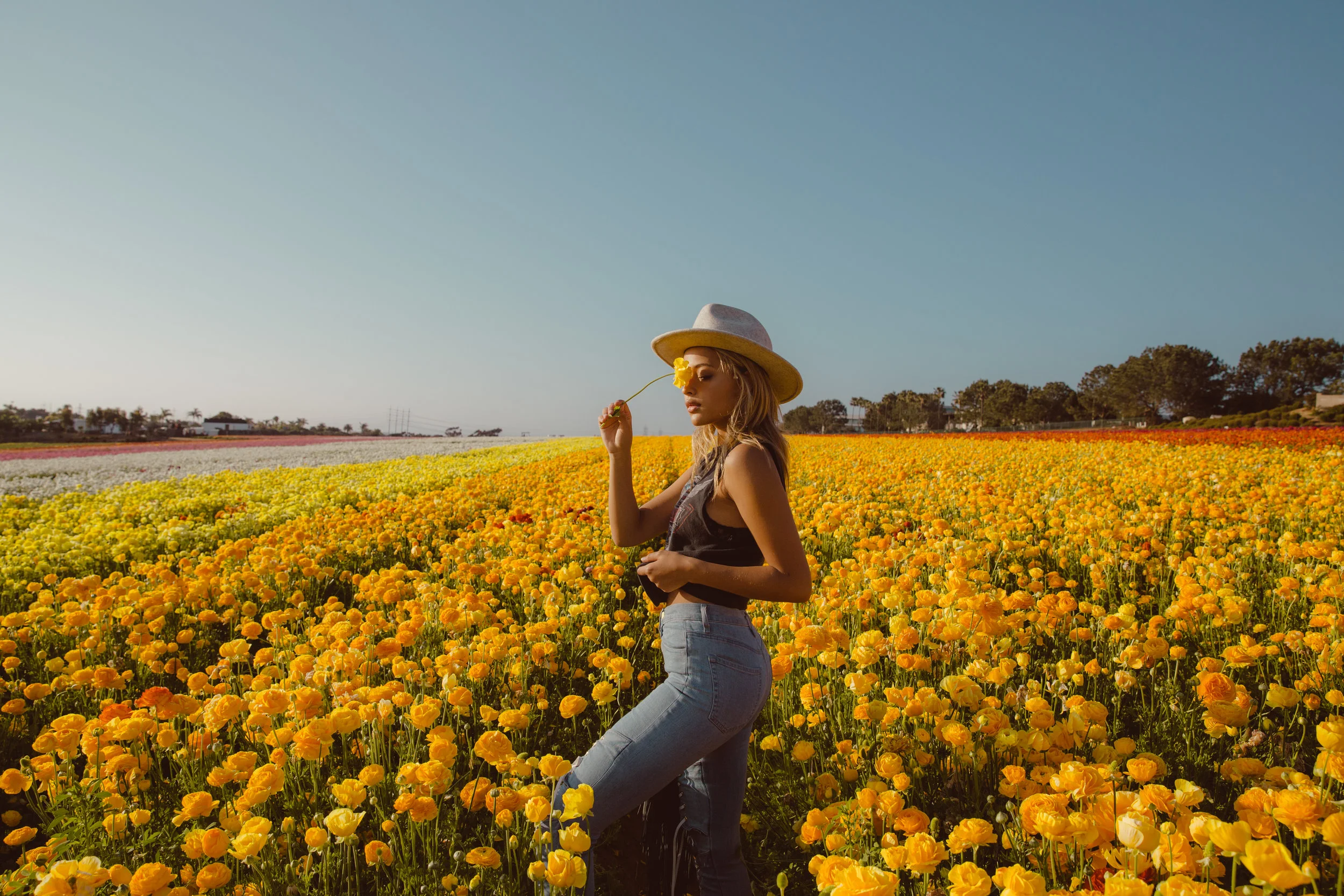 FLOWER_FIELDS-141.jpg
