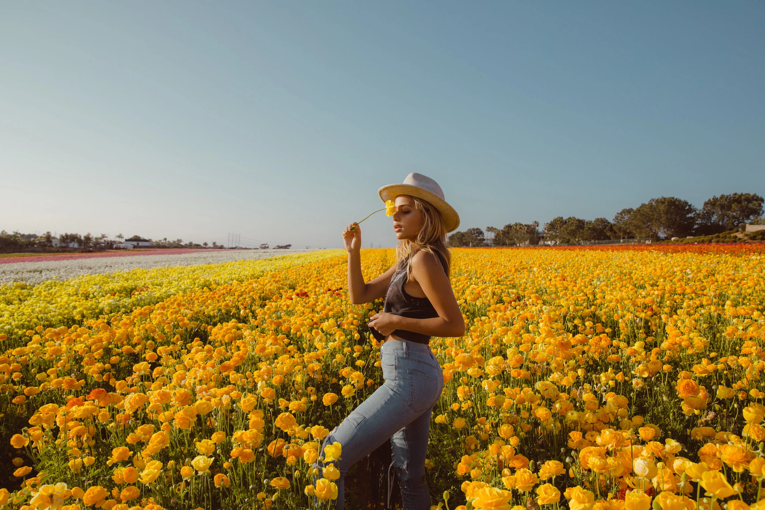FLOWER_FIELDS-142.jpg