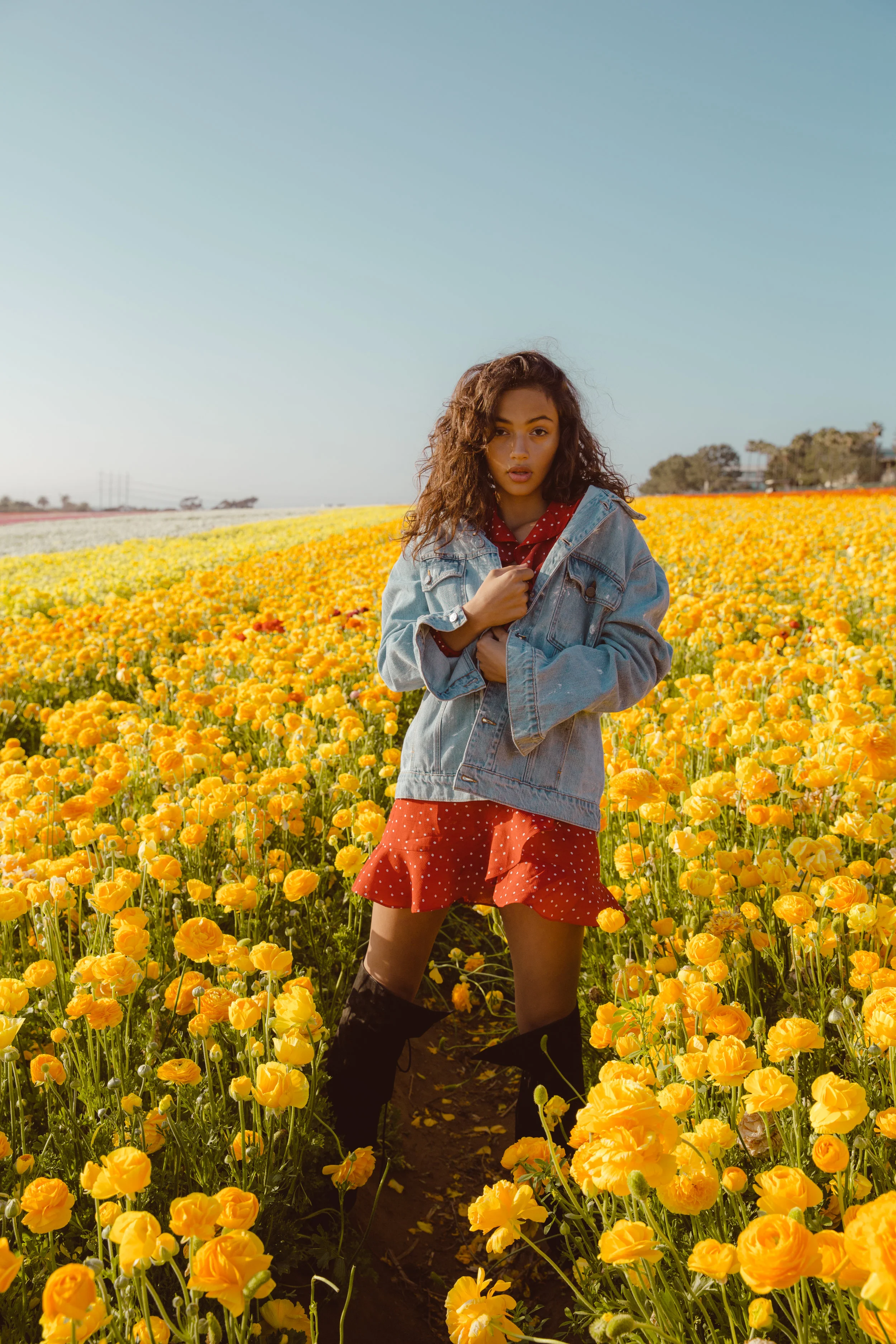 FLOWER_FIELDS-143.jpg