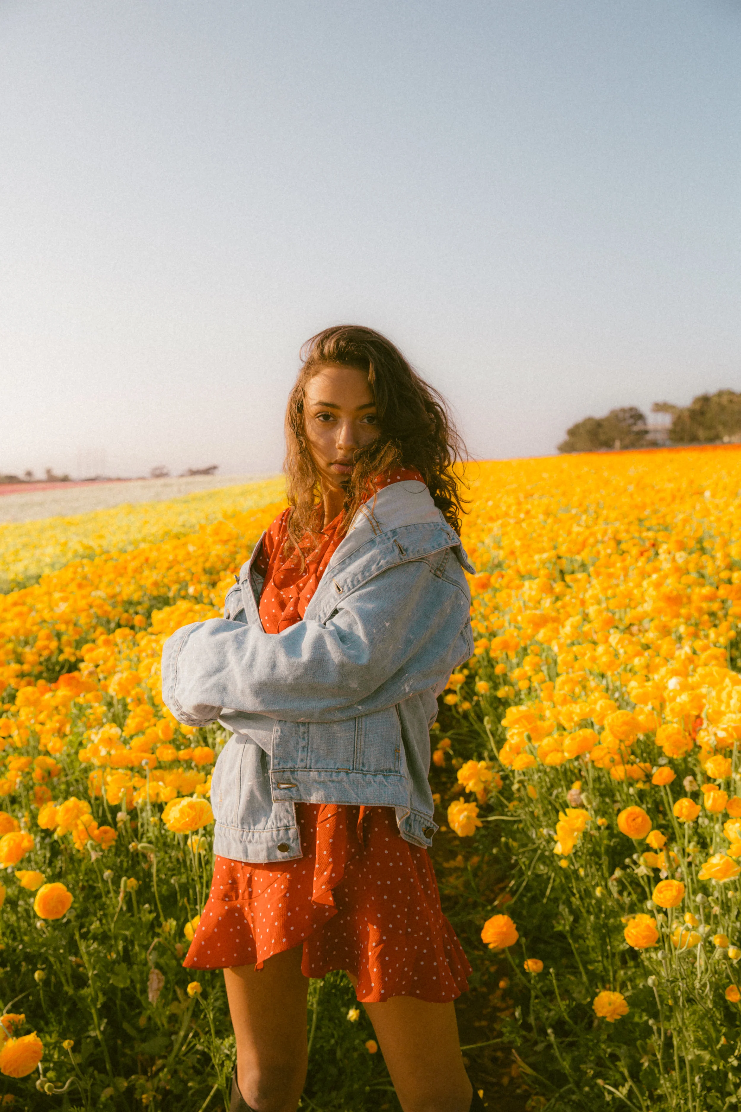 FLOWER_FIELDS-144.jpg