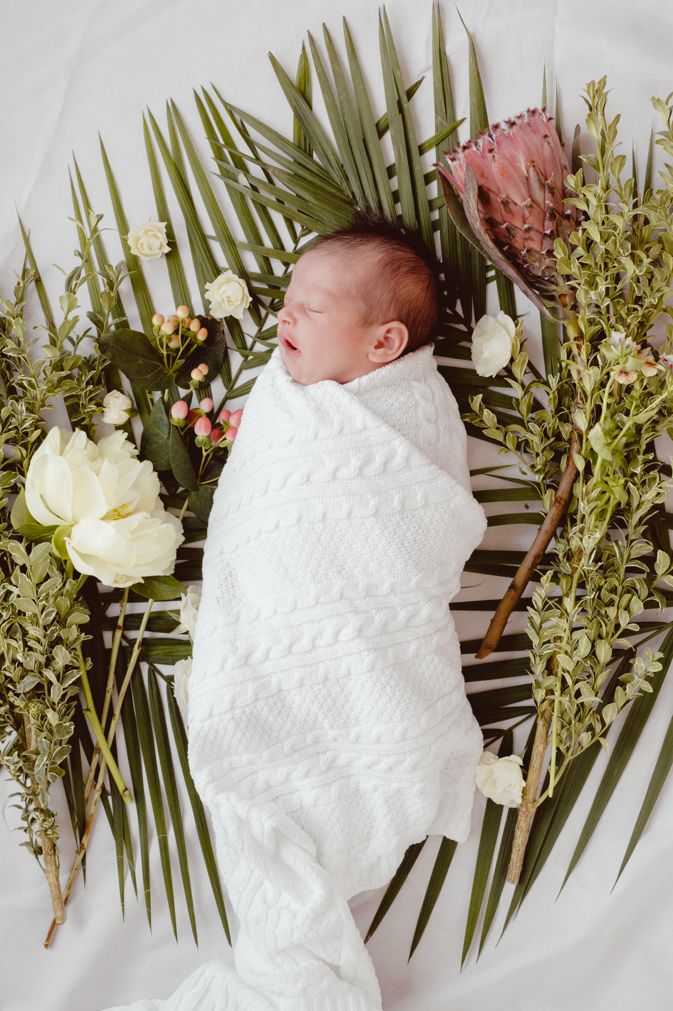 BabyRusso_CarliJeen-3.jpg