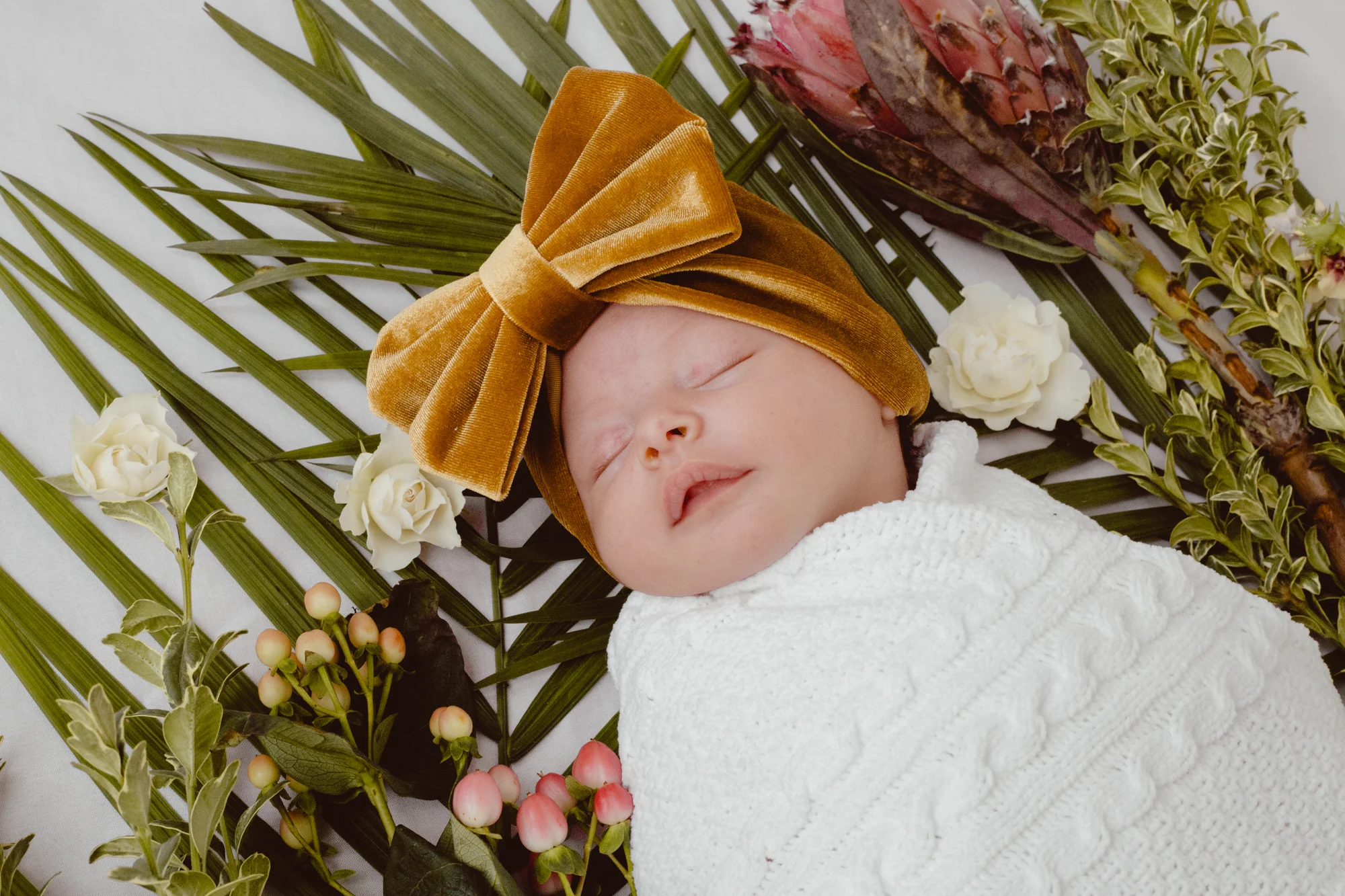BabyRusso_CarliJeen-7.jpg