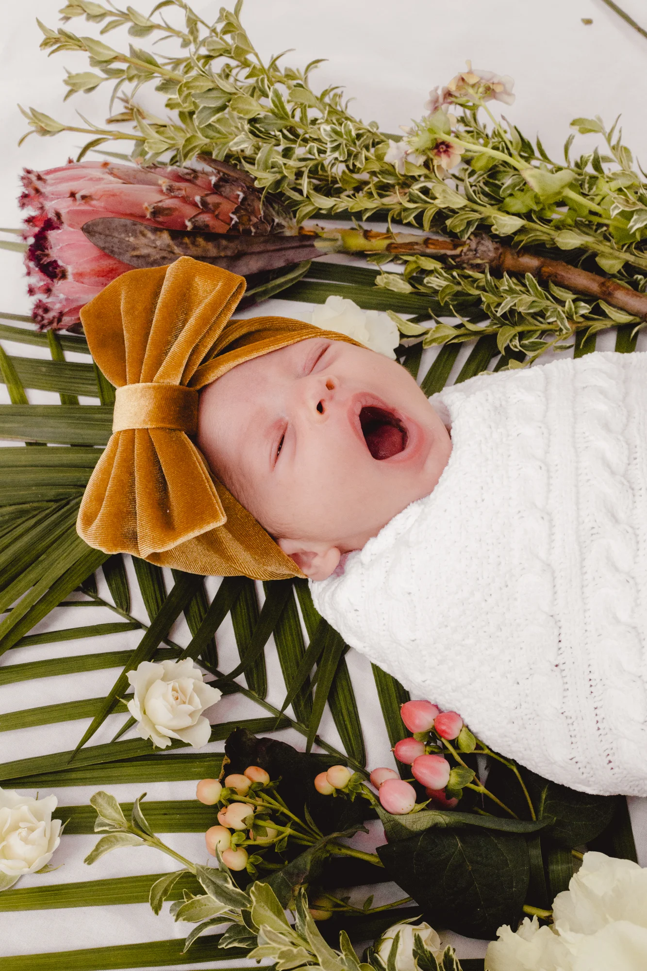BabyRusso_CarliJeen-10.jpg