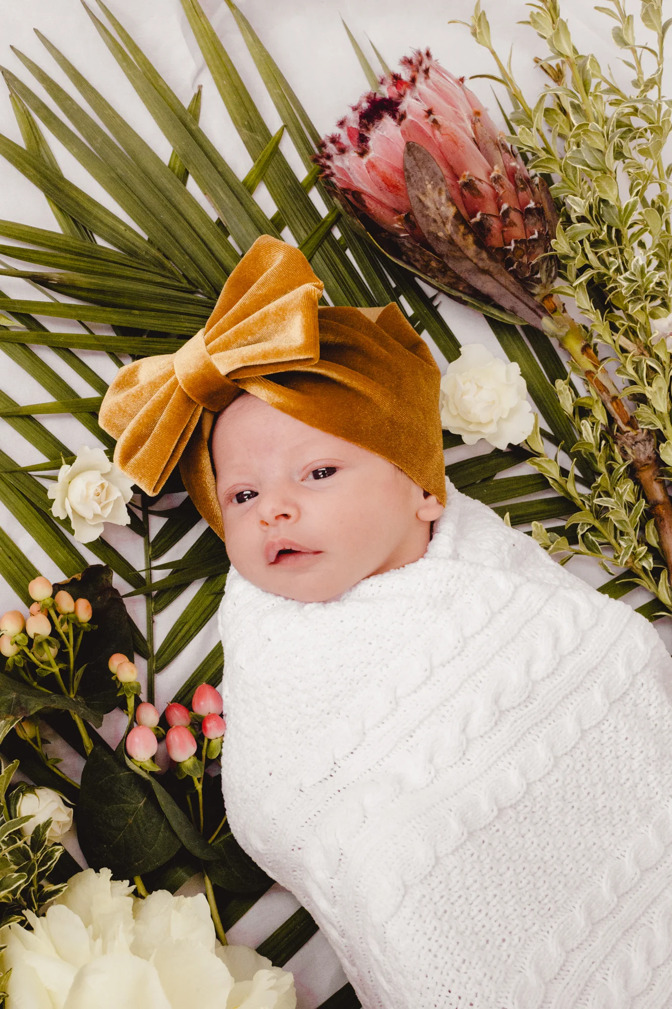 BabyRusso_CarliJeen-13.jpg