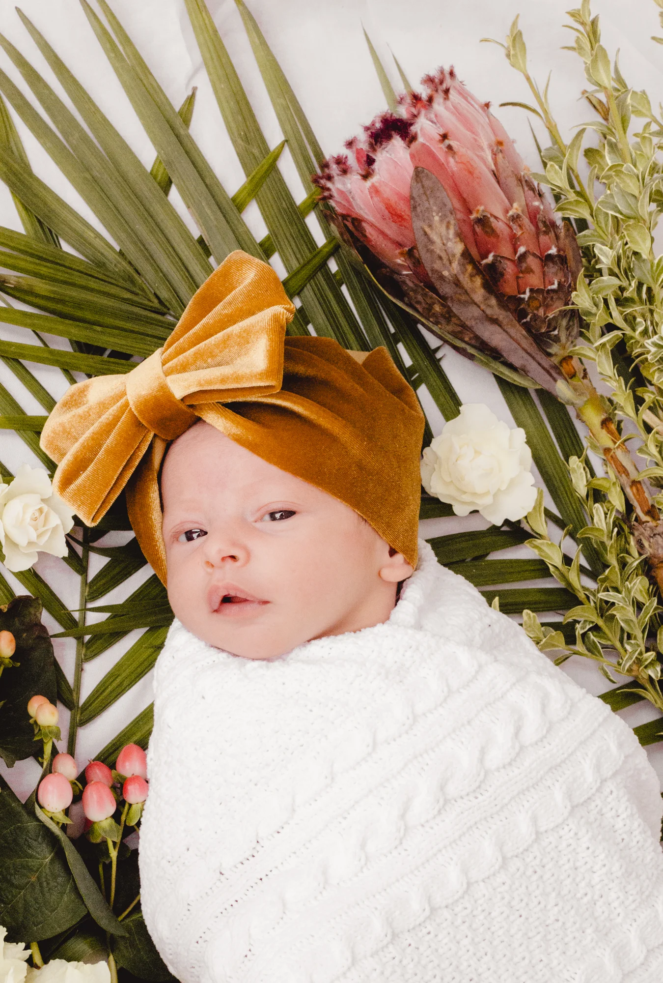 BabyRusso_CarliJeen-14.jpg