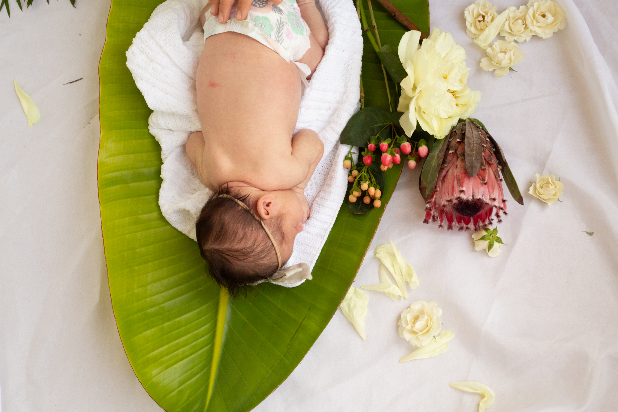 BabyRusso_CarliJeen-44.jpg