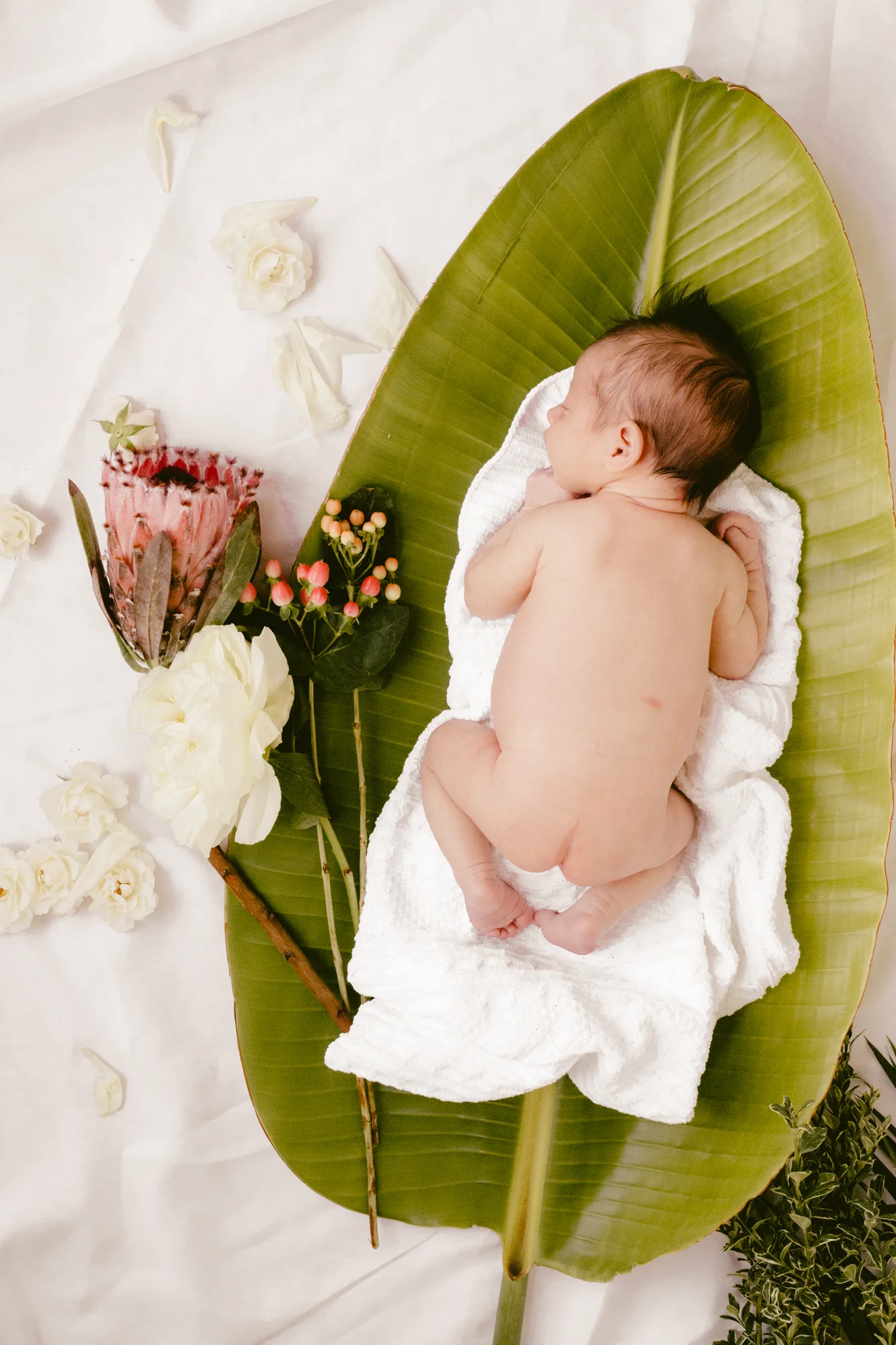 BabyRusso_CarliJeen-45.jpg