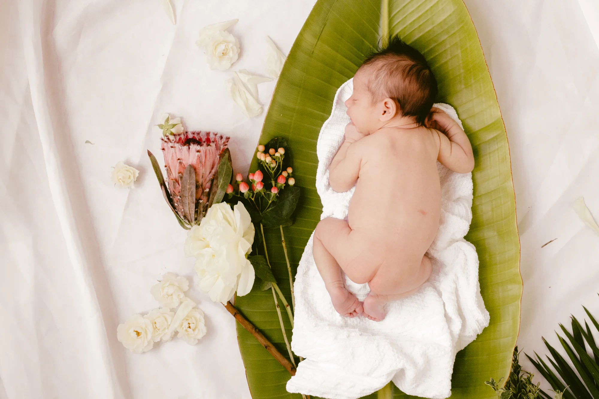 BabyRusso_CarliJeen-46.jpg