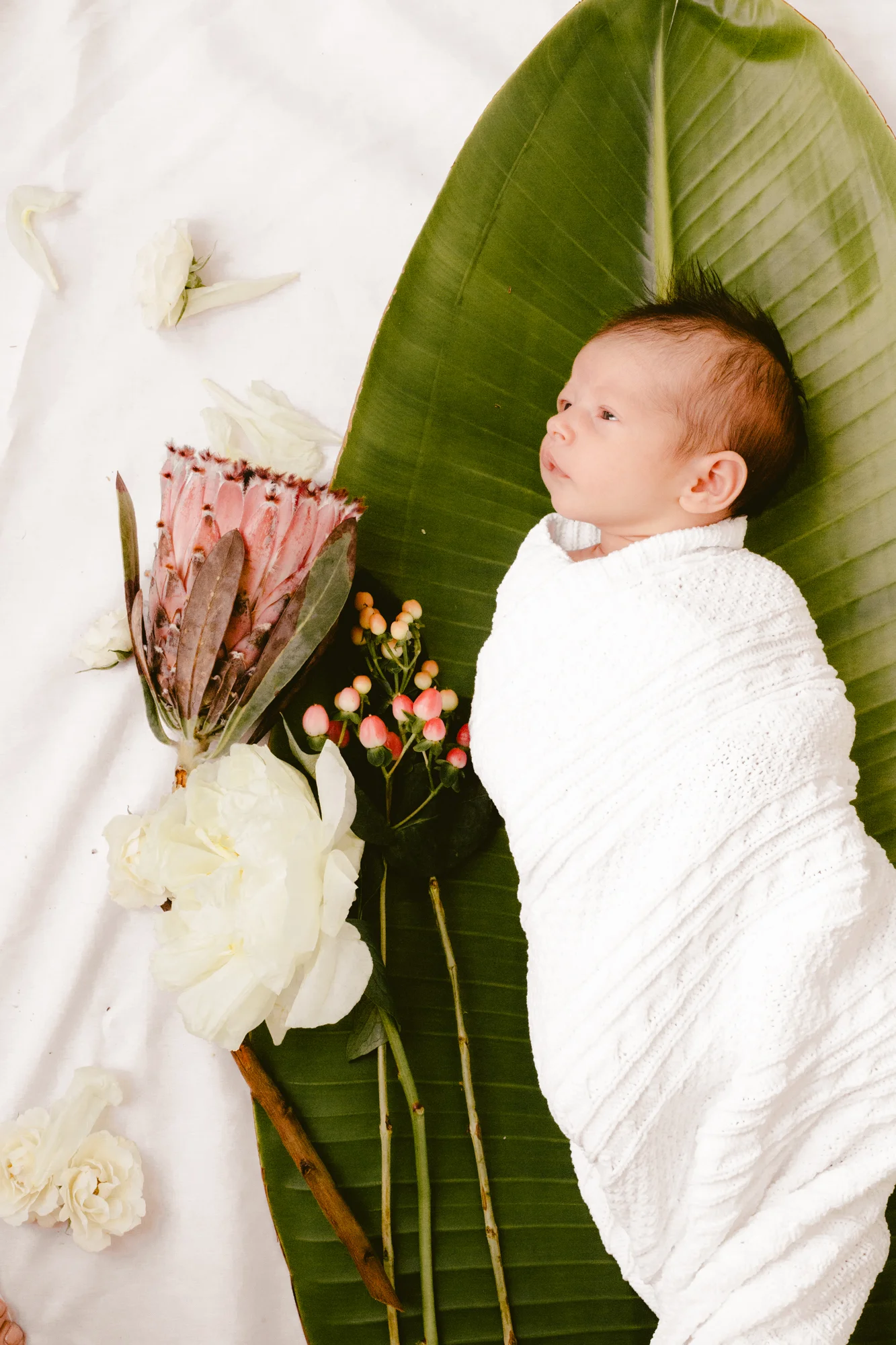 BabyRusso_CarliJeen-48.jpg