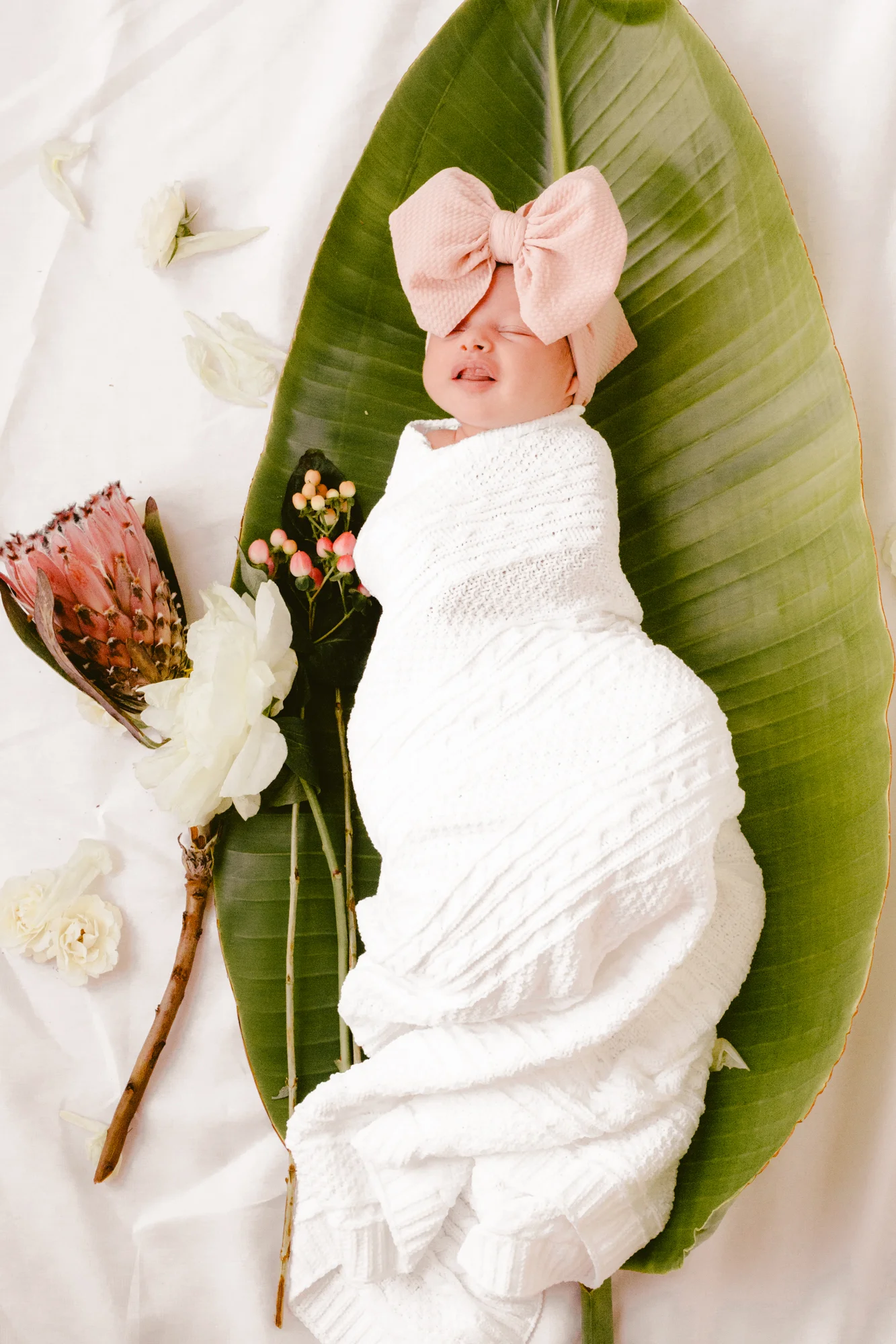 BabyRusso_CarliJeen-52.jpg
