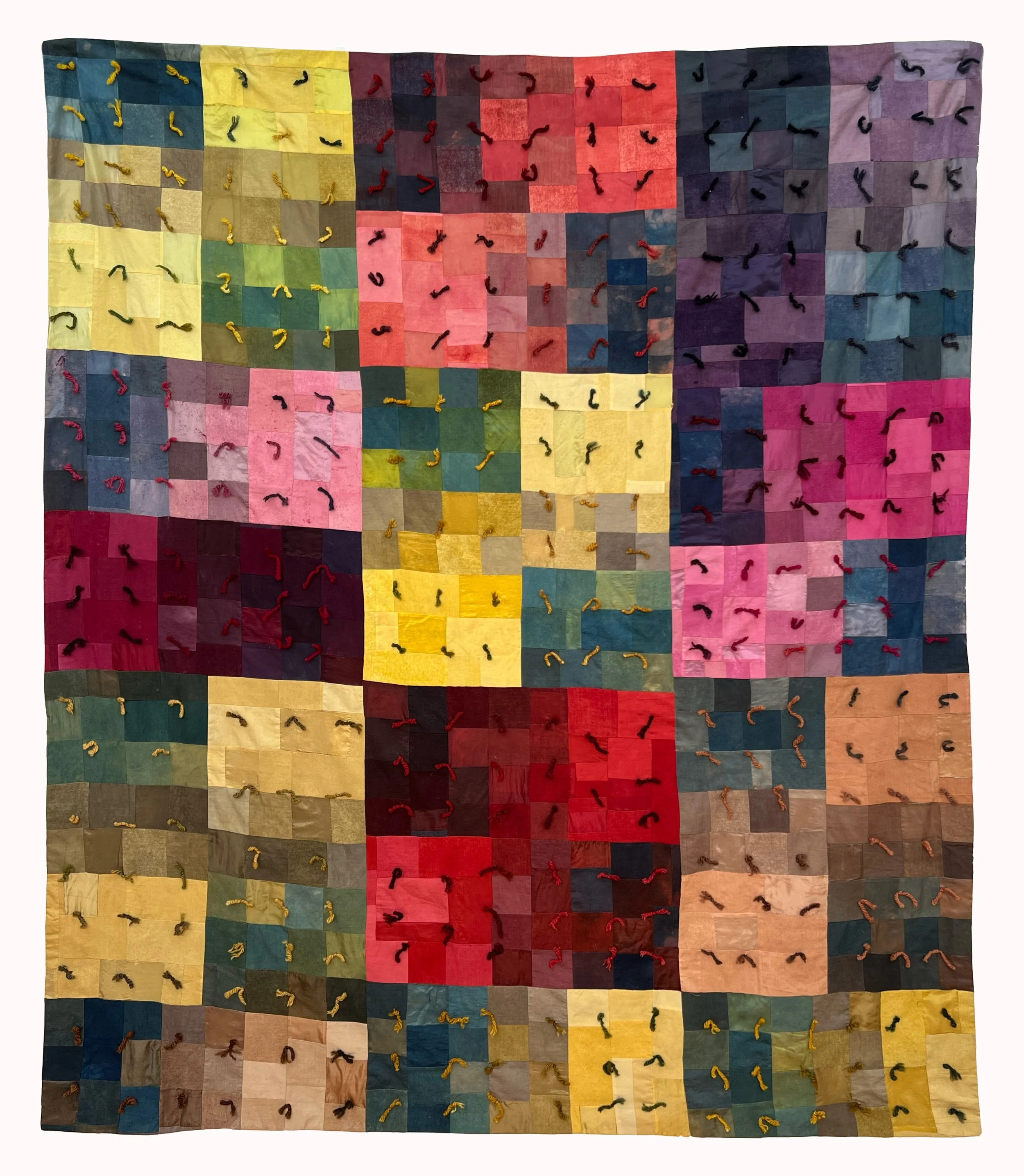 Erica Alexander, Dye Study Quilt