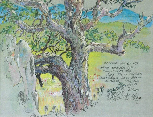 Cork Oak, Provence, France