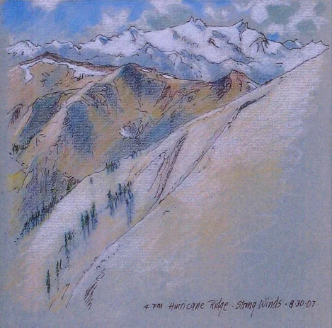 Hurricane Ridge, Olympic National Park, WA