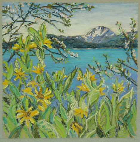 Wyethia, Lake Almanor and Lasen Peak