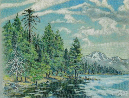 Osprey Nest and Lassen