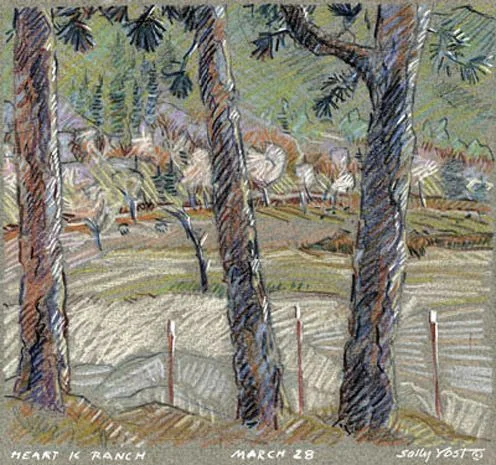 Trees on Heart K Ranch