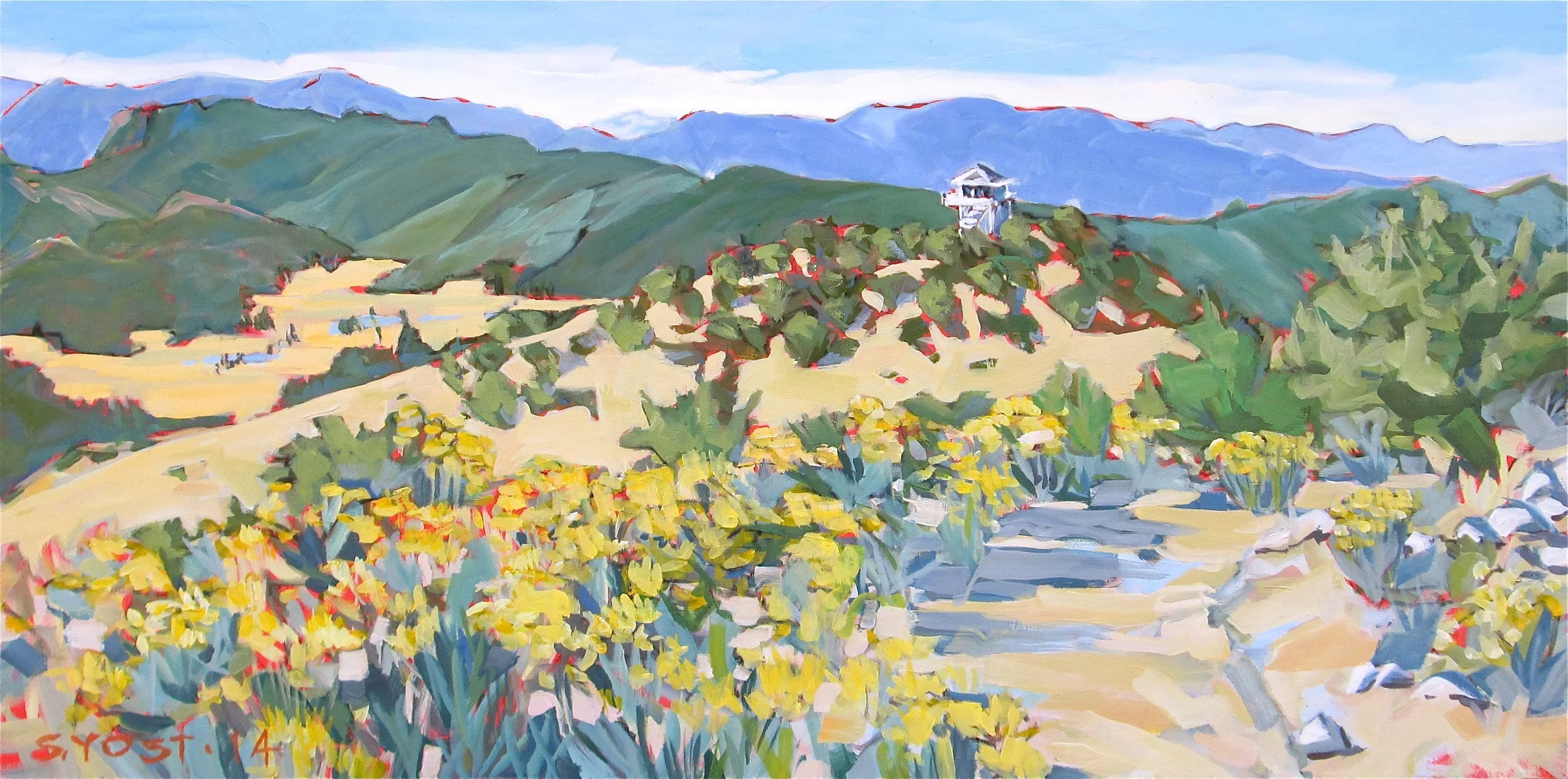 Rabbitbrush blooming at BML