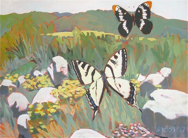Butterflies, Black Mountain. Lookout