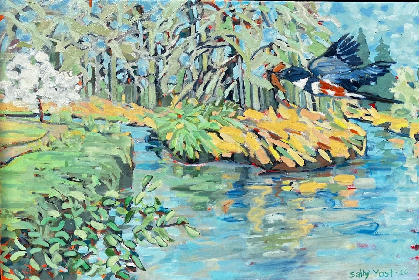 Kingfisher, Long Tom River, Elmira