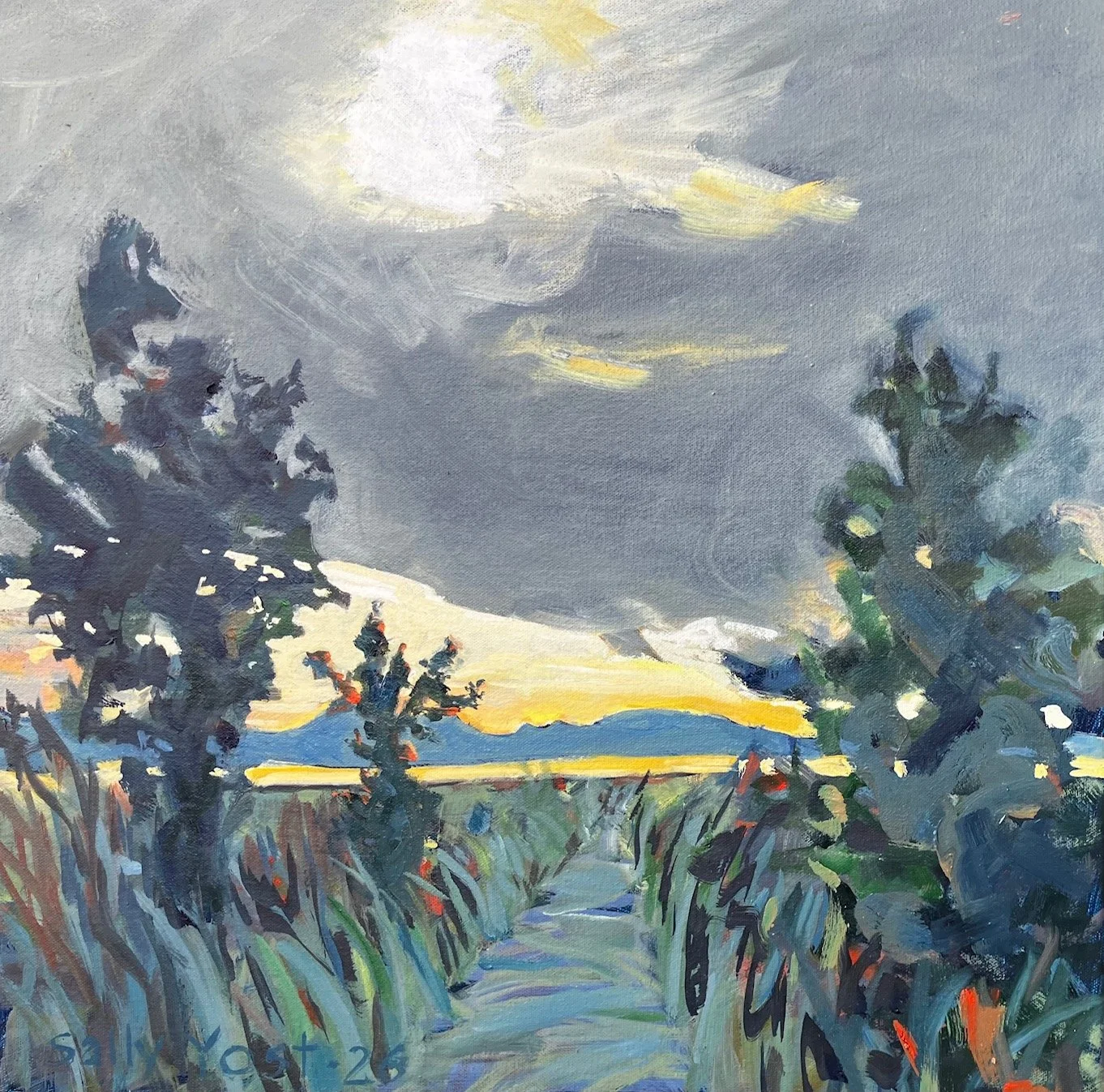 Sunset at Royal Road Wetlands