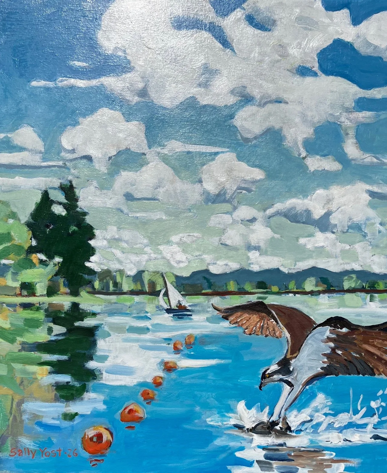 Osprey, View from Orchard Point, Fern Lake