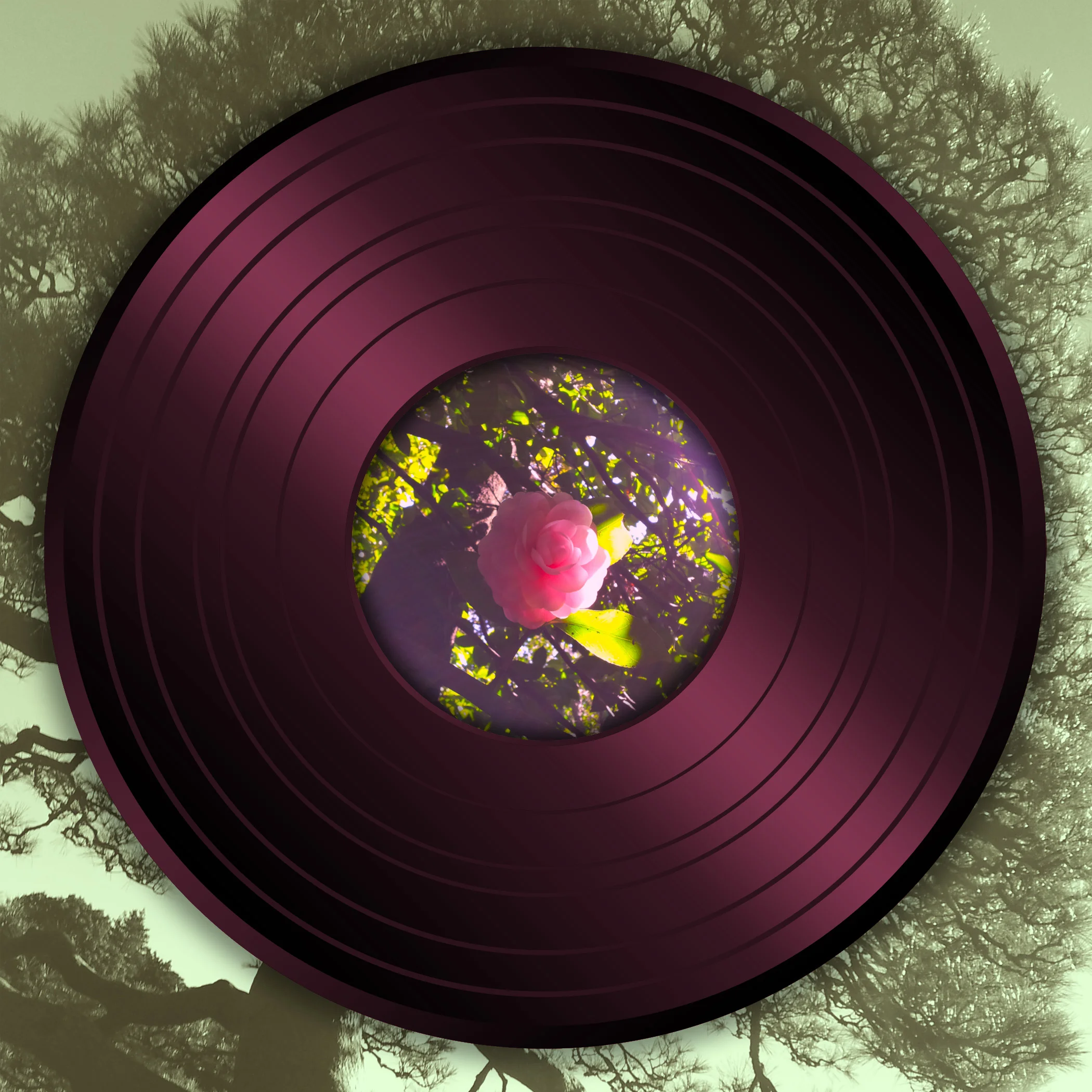 2.monthly mix icons_Marsh.jpg