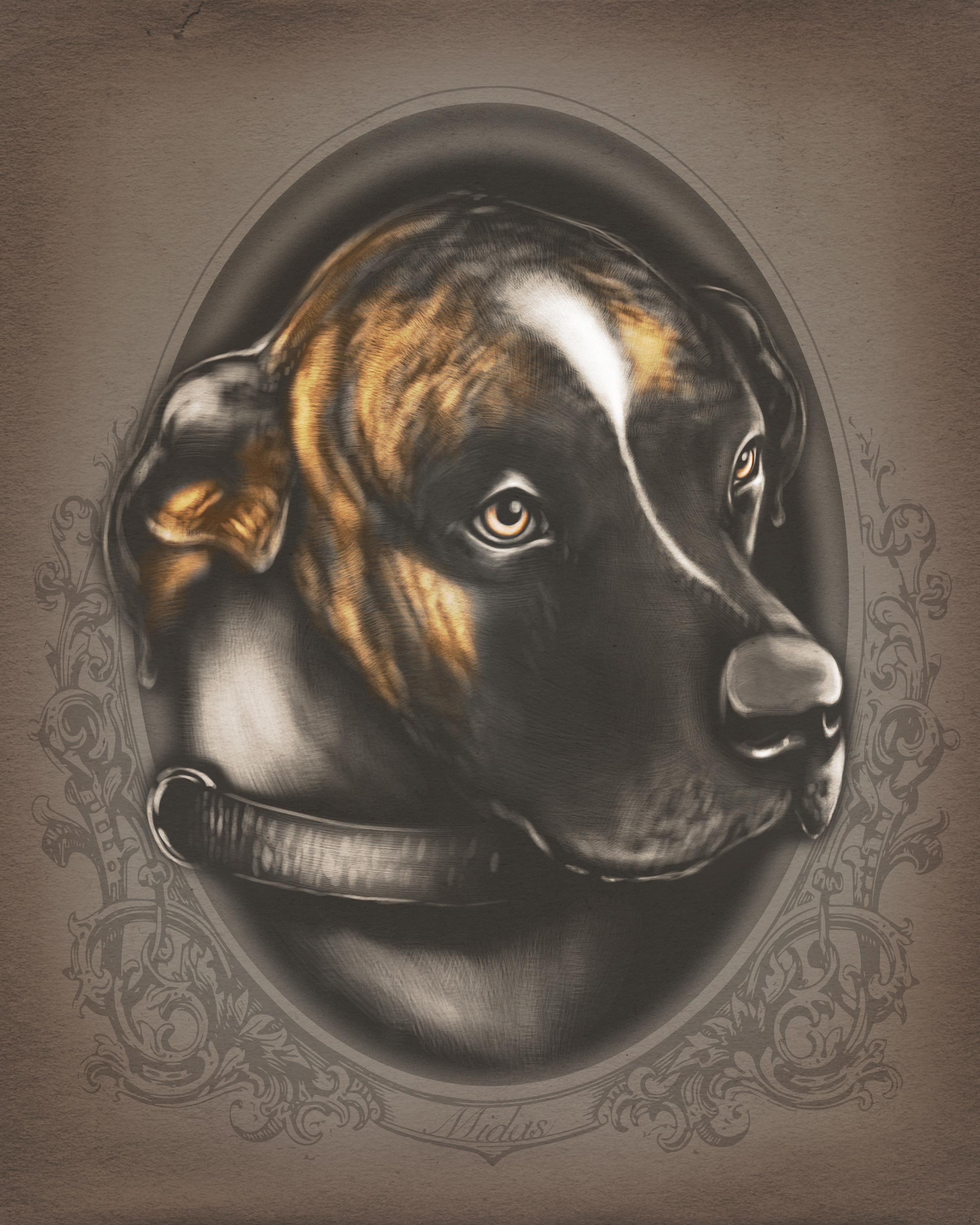 Midas_vintage_8x10_matte.jpg