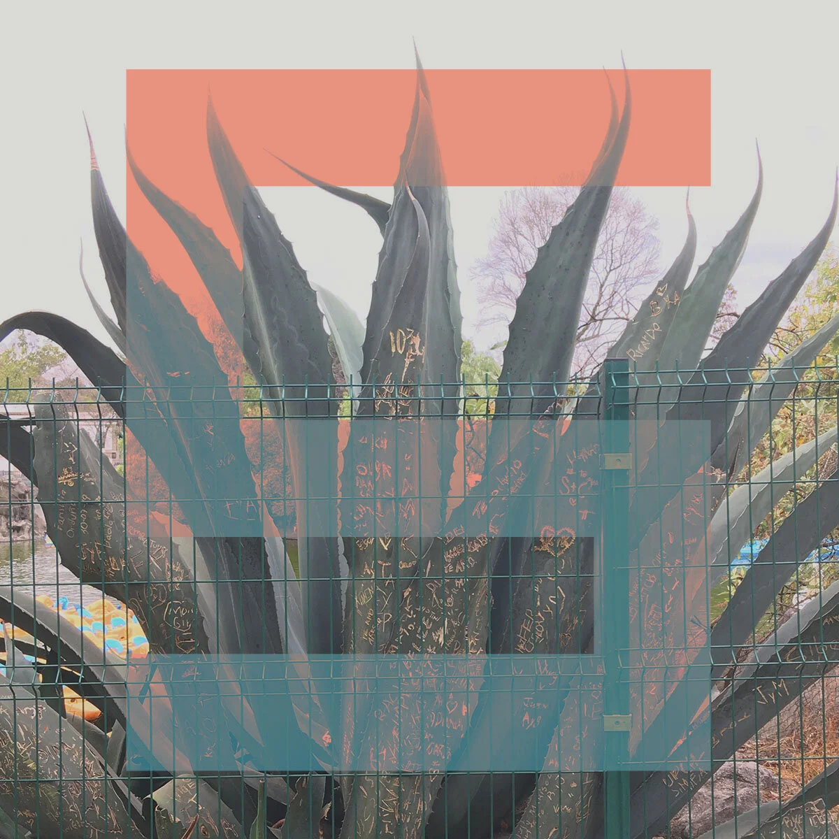 PLAYLIST ICONS_2020_SEP.jpg