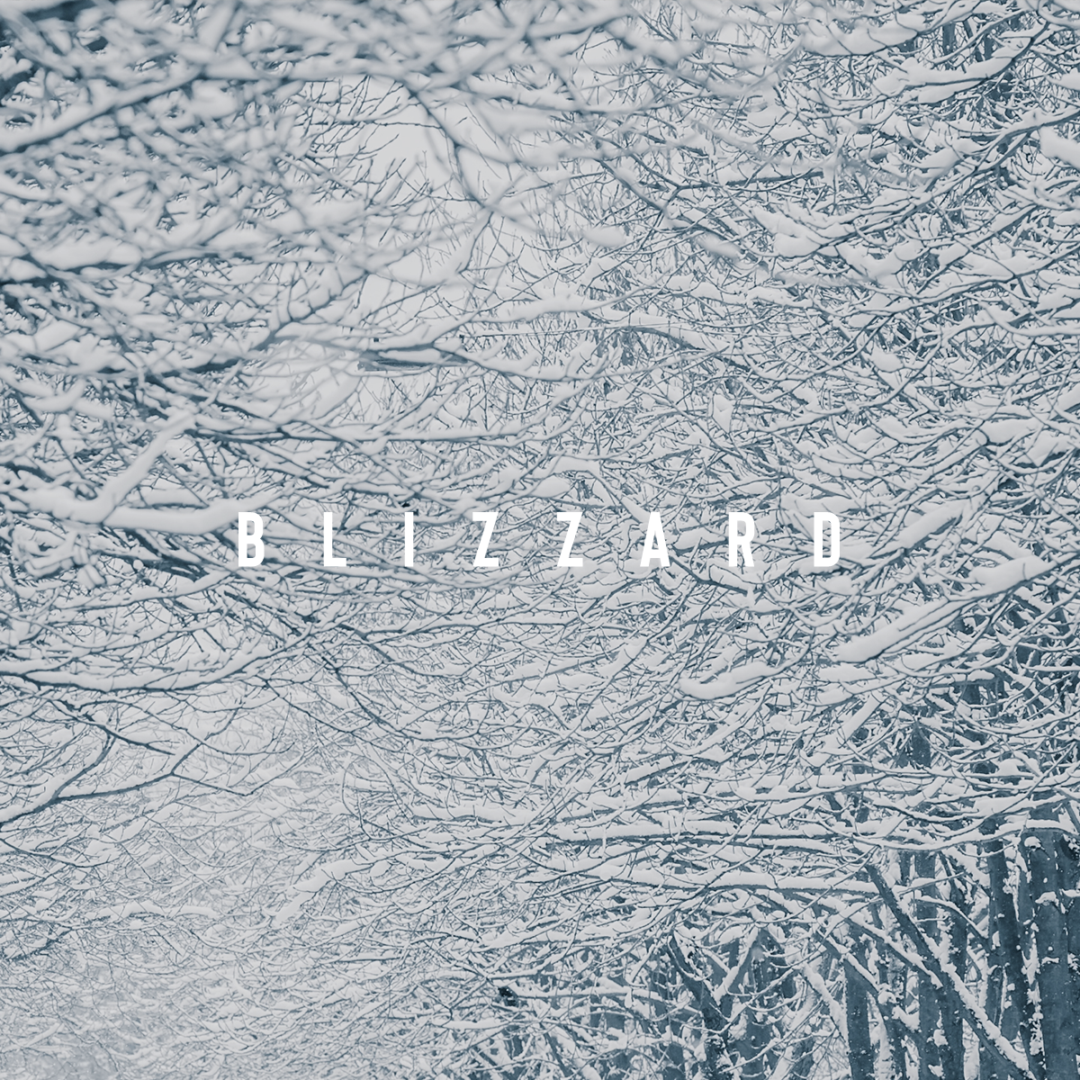 12.BLIZZARD.png