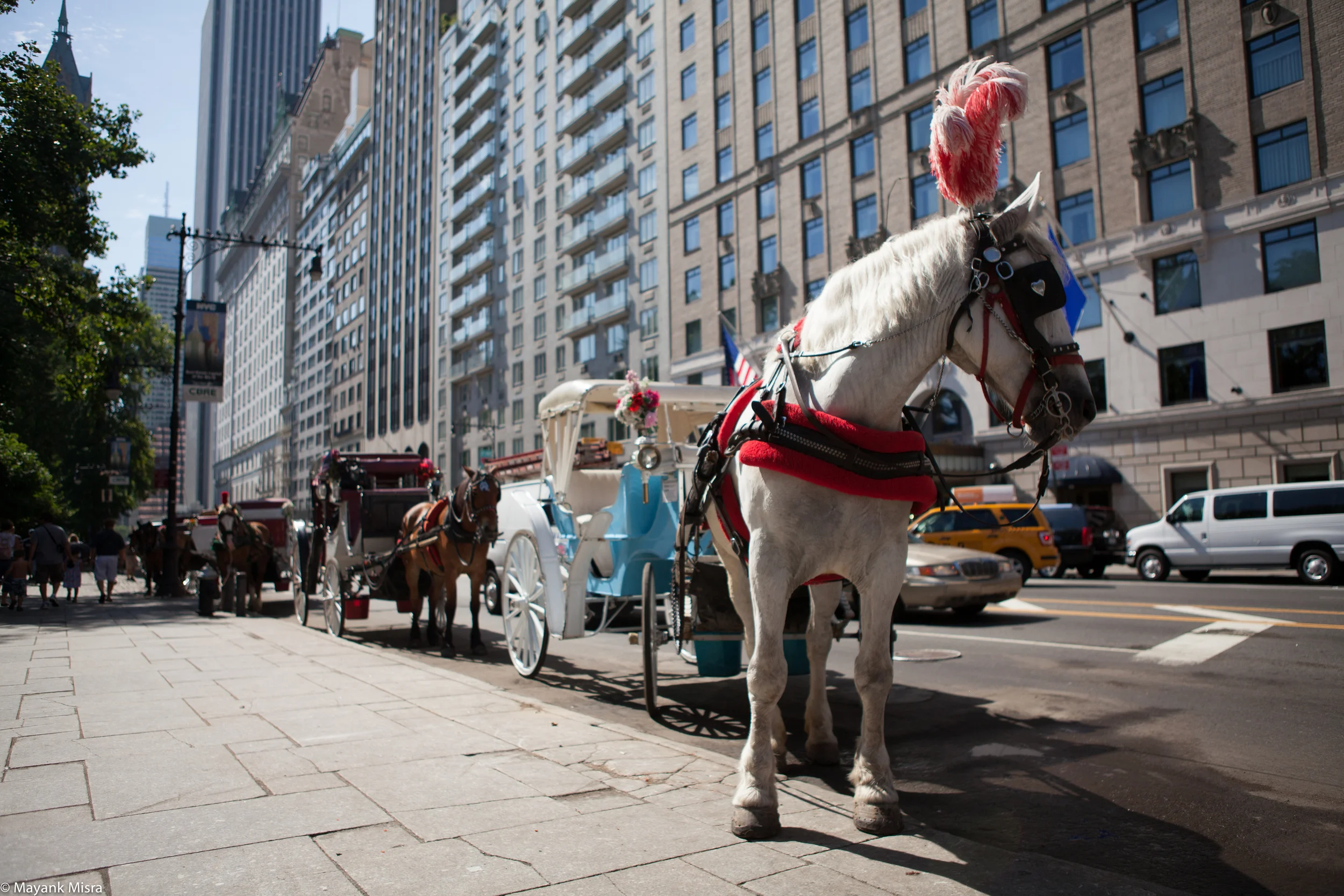 New York - 2010-Jul-24-06-07-11.jpg