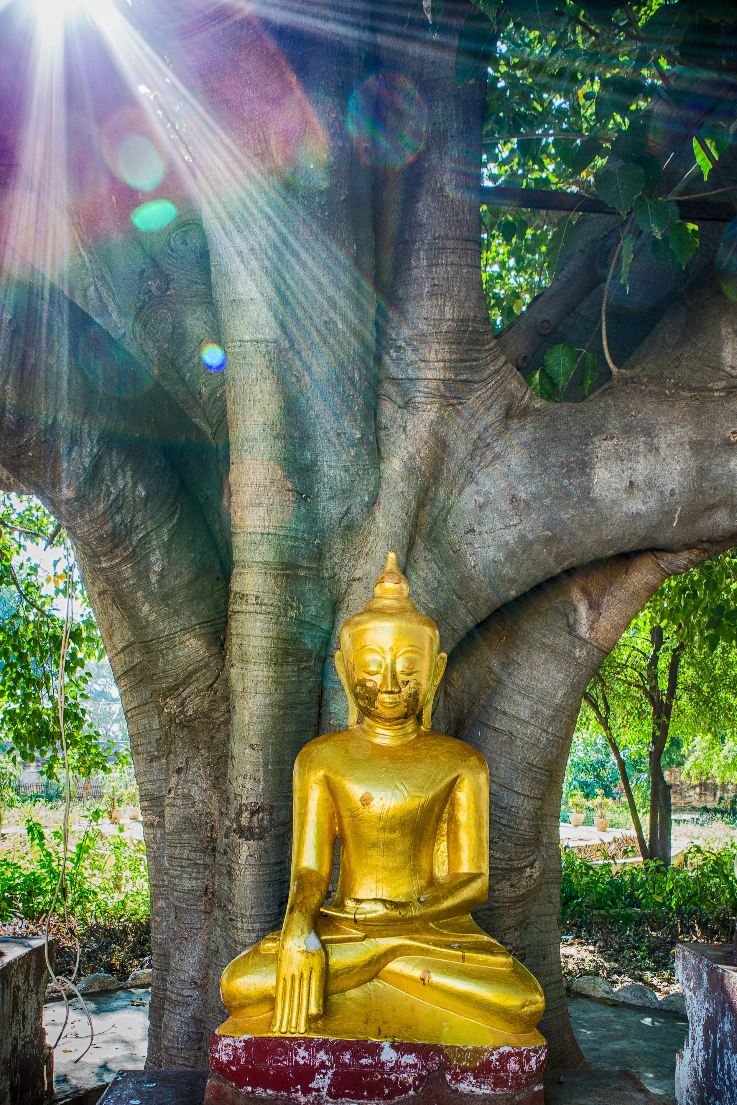 untitled - 2012-Dec-03-23-14-12_2.jpg