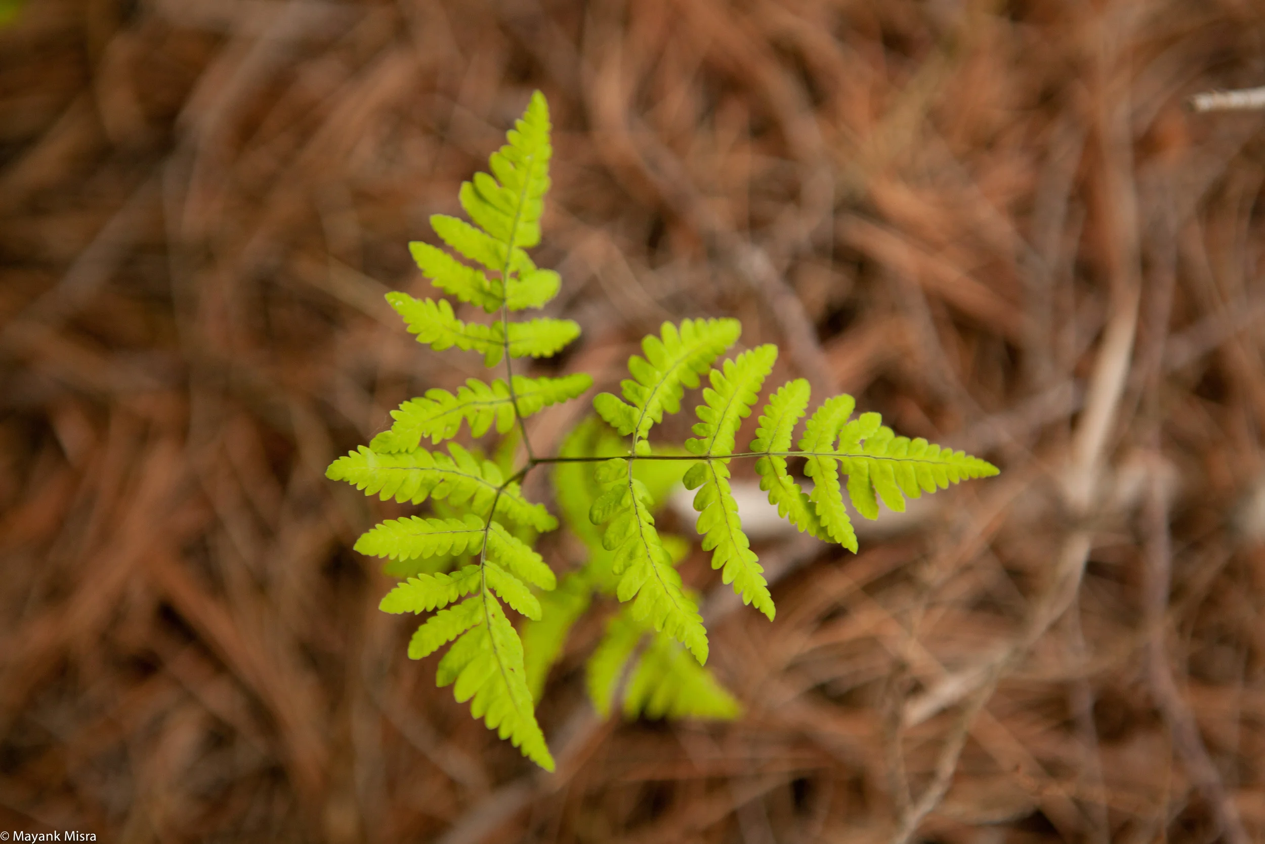 Boston - 2010-May-29-03-06-03.jpg