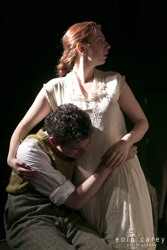 The Idiot at the Wall by Elspeth Turner