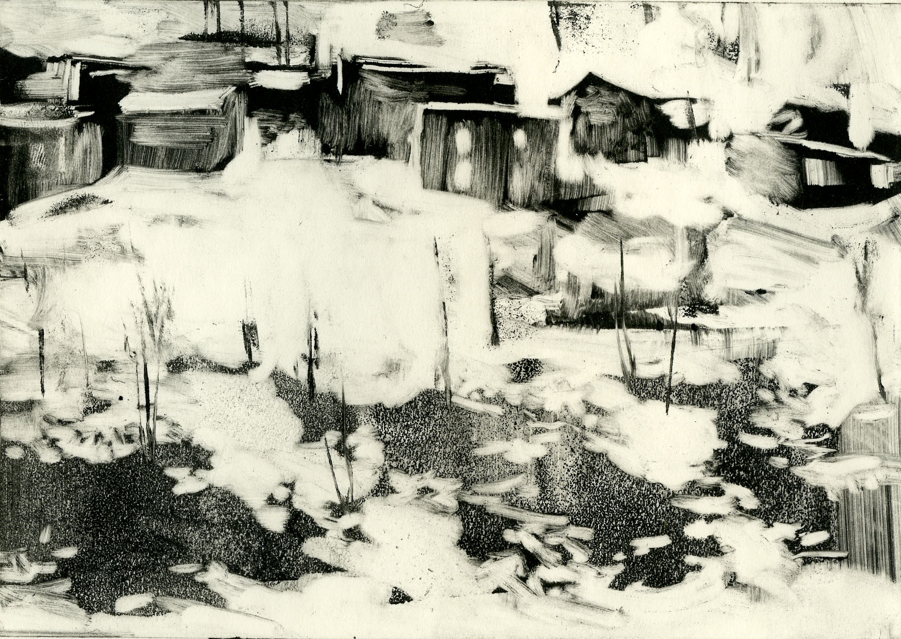 Elkhorn, monotype, 4x6", 2014
