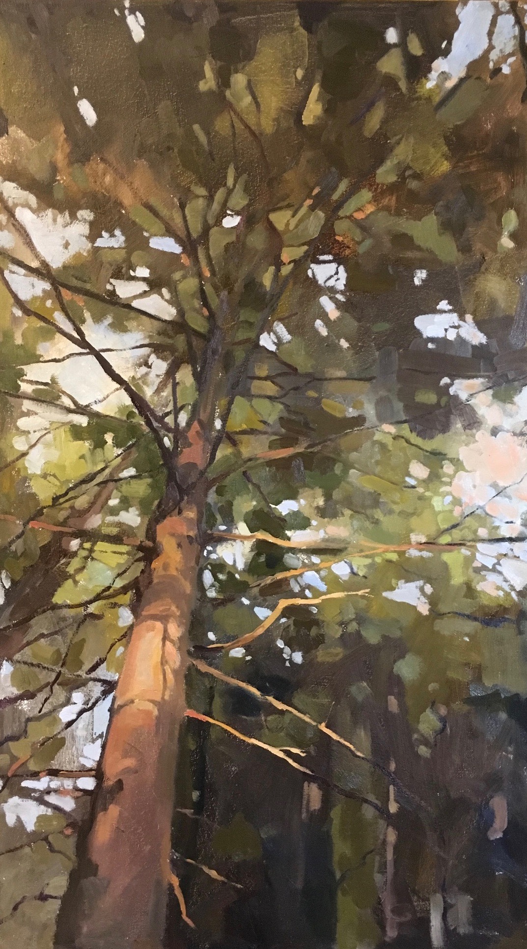 Warren, Oil on canvas, 16x28”, 2016