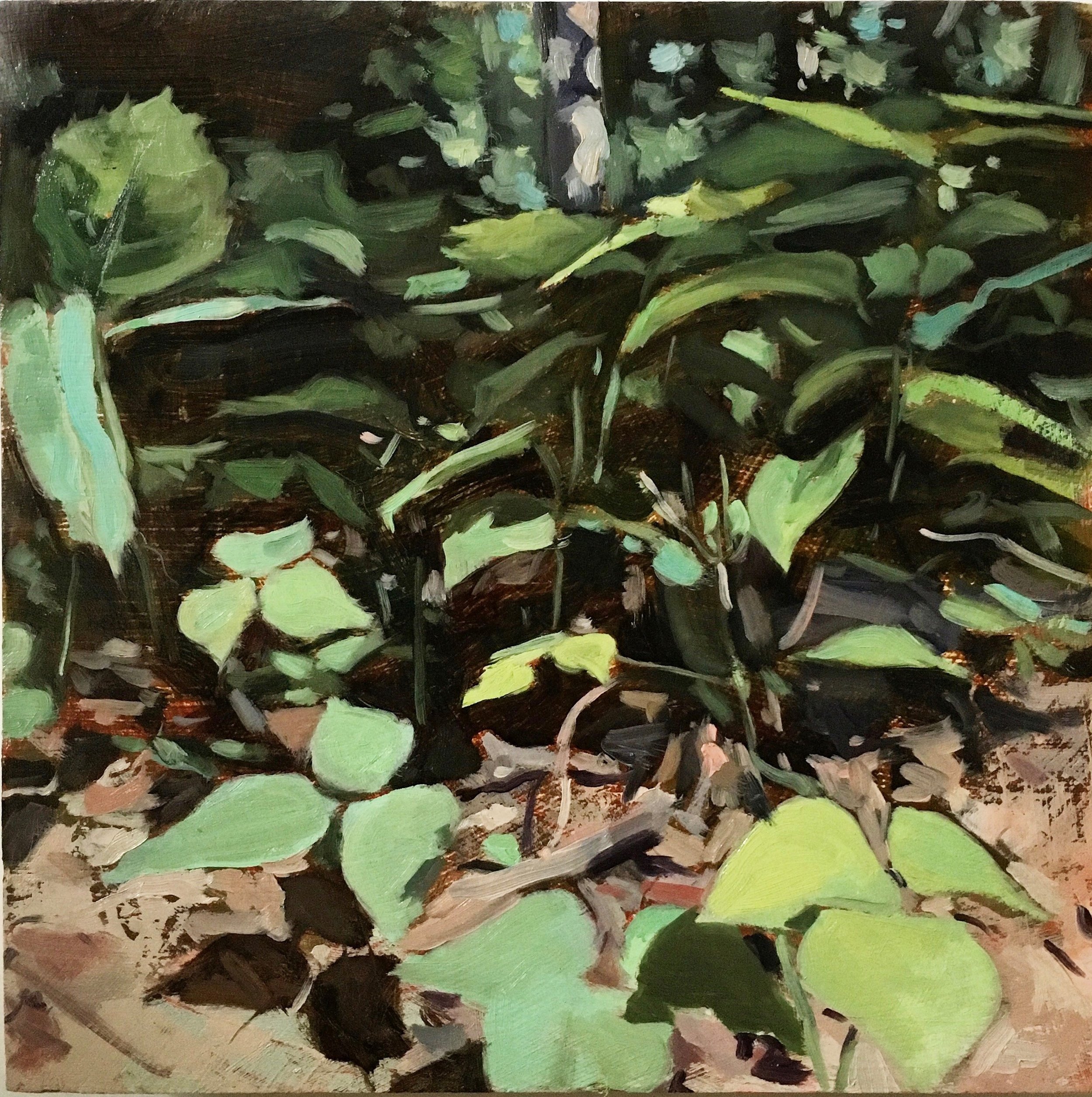 Undergrowth, oil on panel, 8"x8", 2018